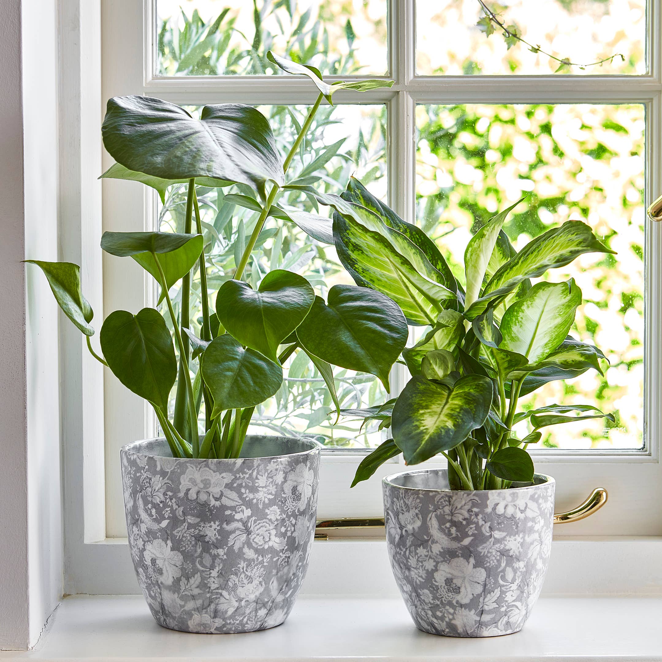 Monza Indoor Ceramic Plant Pot H13cm x D13cm