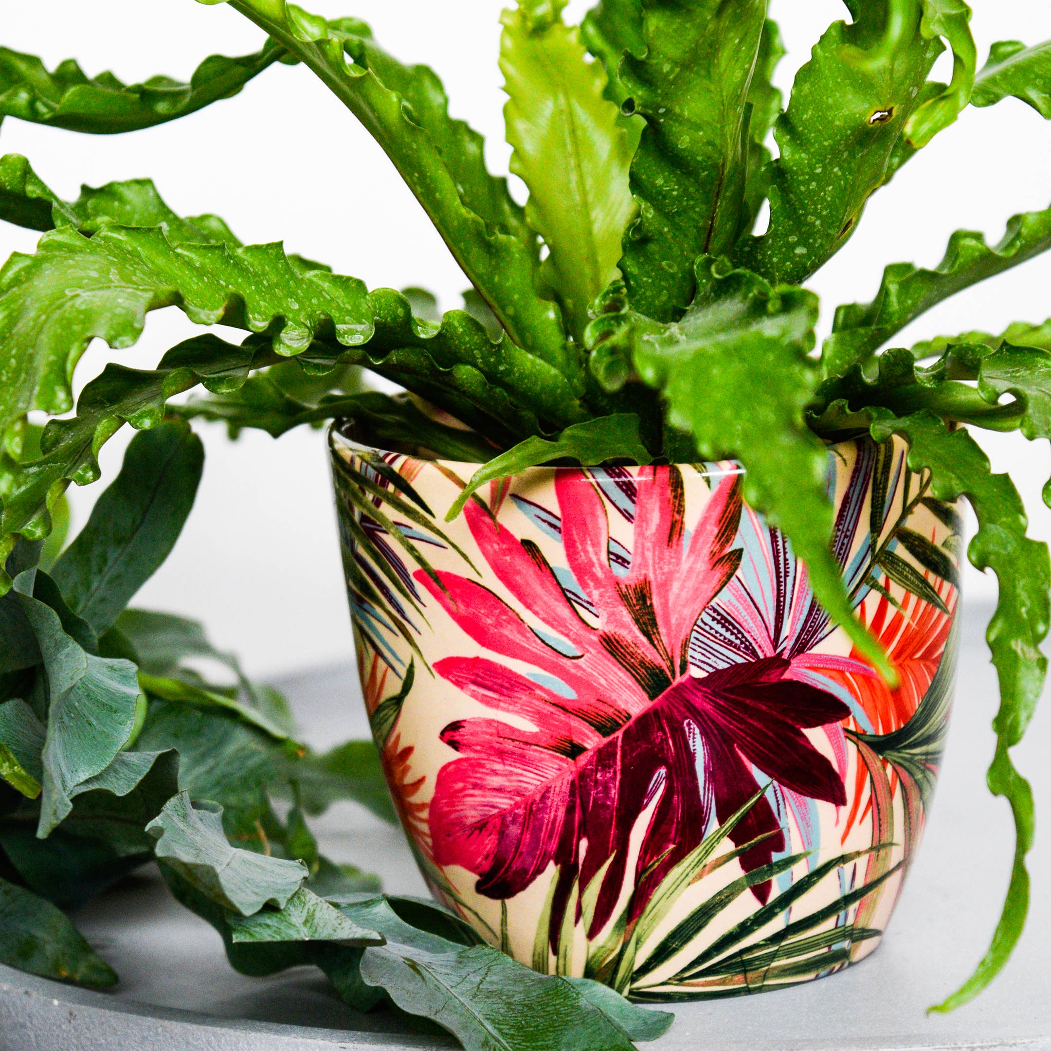 Monza Indoor Ceramic Plant Pot H13cm x D13cm