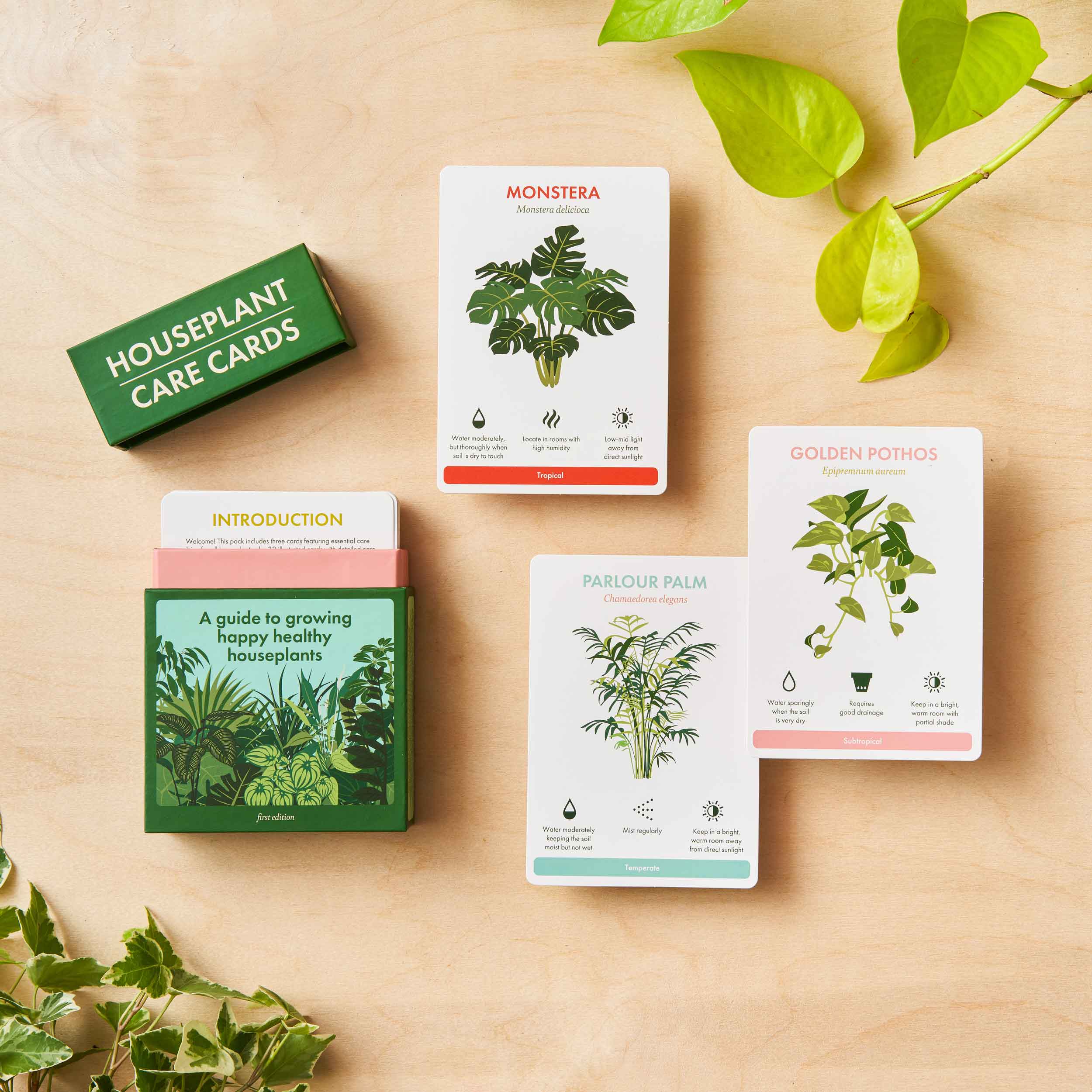 Houseplant Care Cards - Botanical Tips & Advice