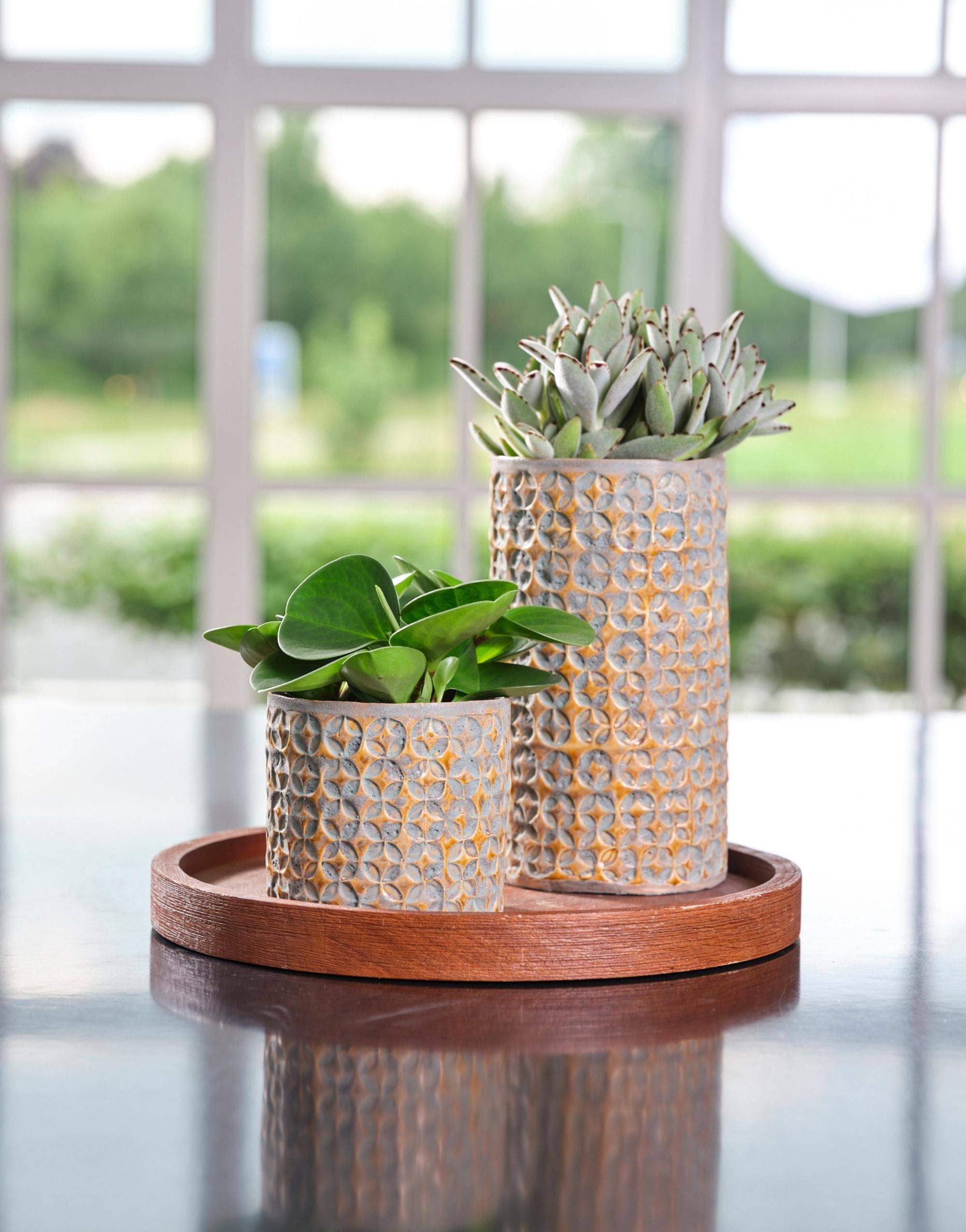 Terni Premium Glaze Ceramic Indoor Planter H18cm D20cm: Mustard
