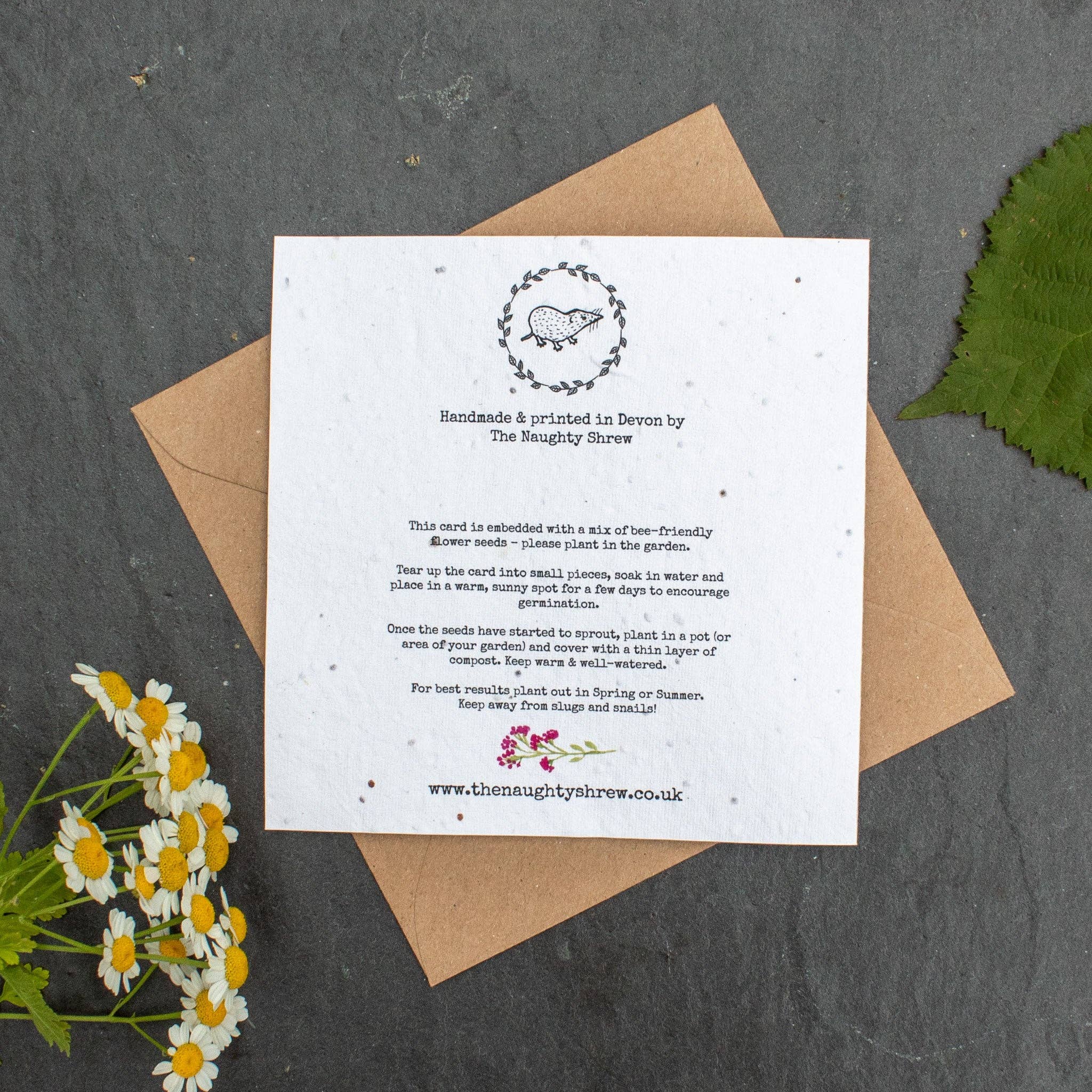 Plantable Card - Thank You For Helping Me Grow