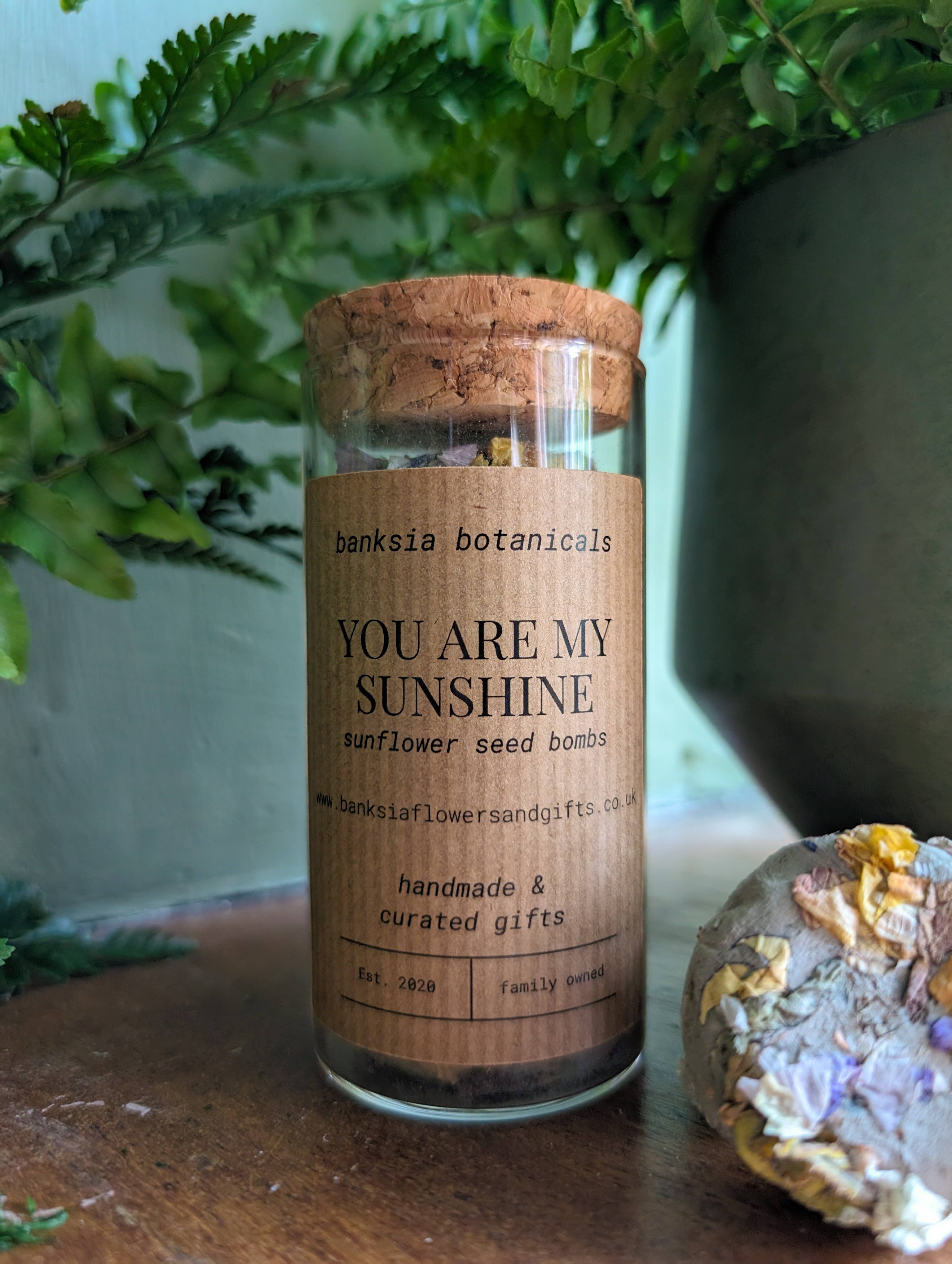 You are my Sunshine Sunflower Seed Bombs