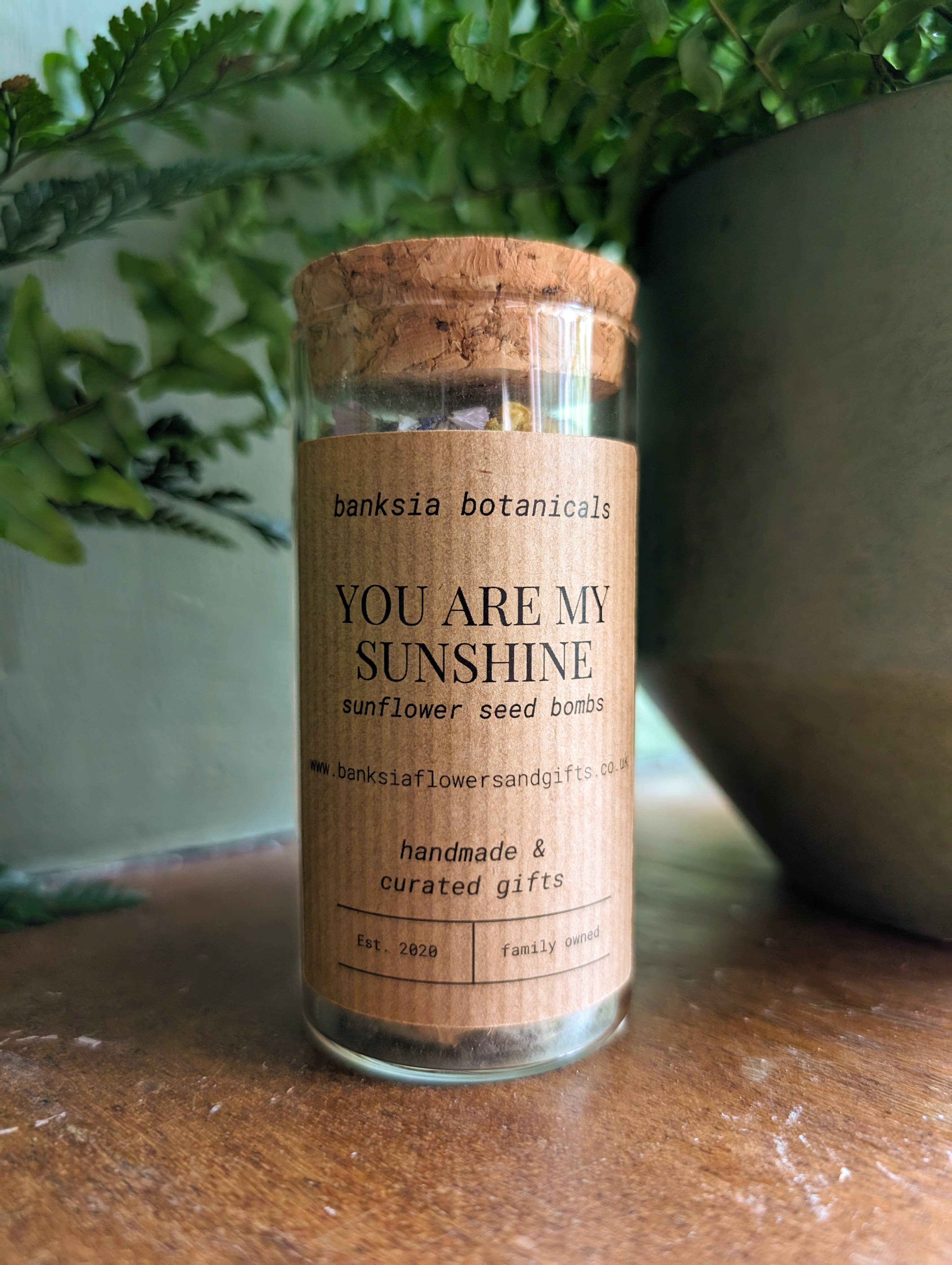You are my Sunshine Sunflower Seed Bombs
