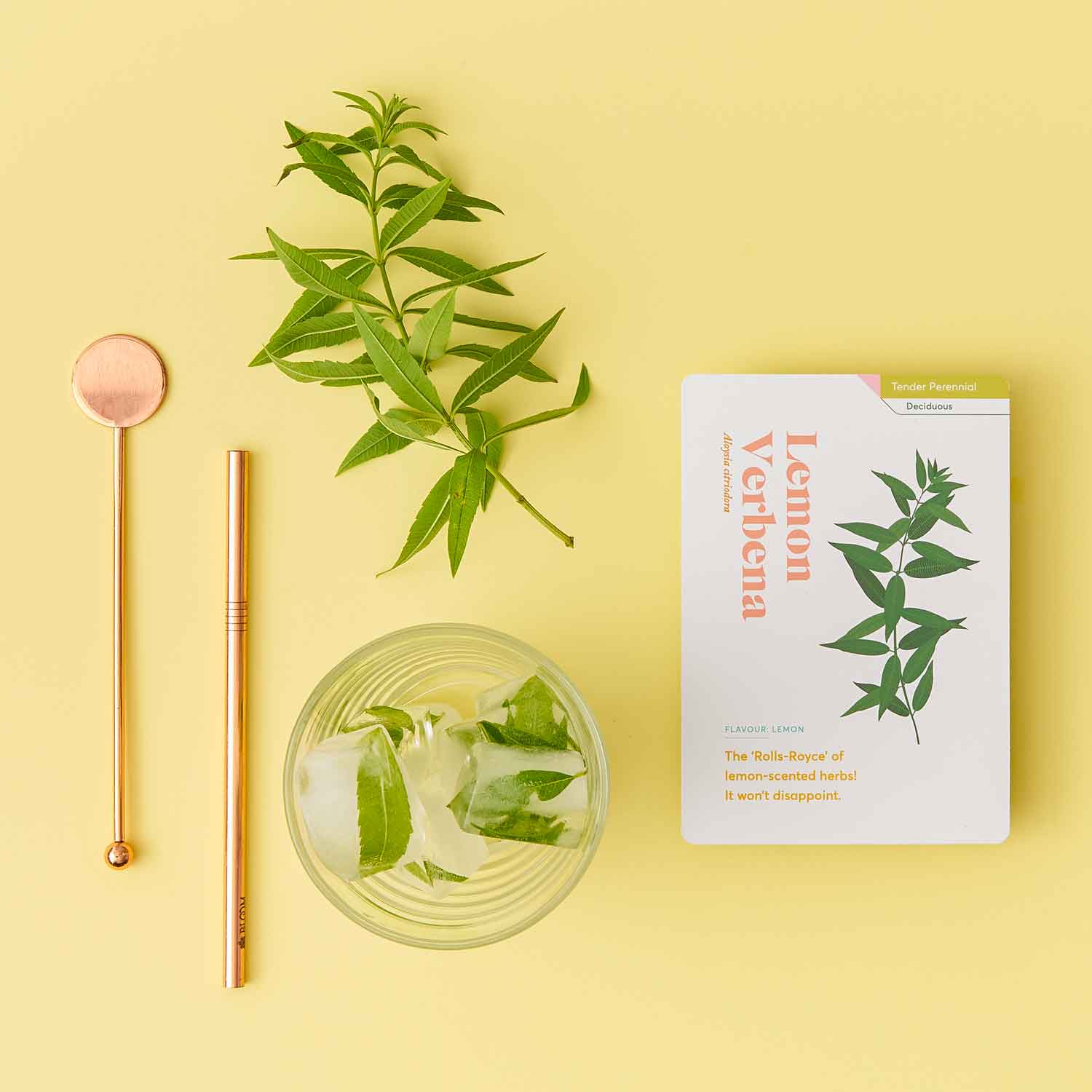 Herb Care Cards, botanical gardening tips & advice
