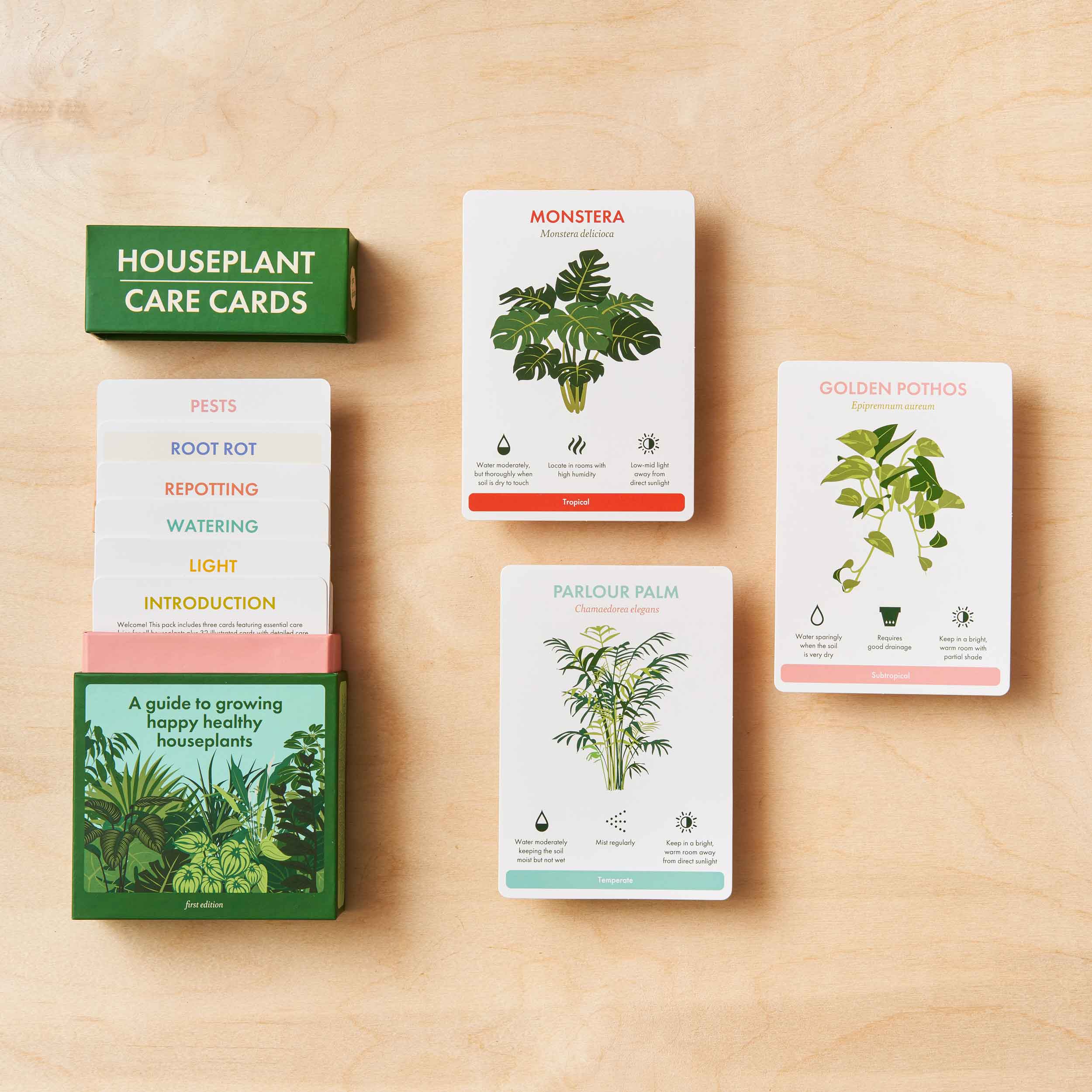 Houseplant Care Cards - Botanical Tips & Advice