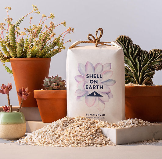 Shell on Earth - Super Crush