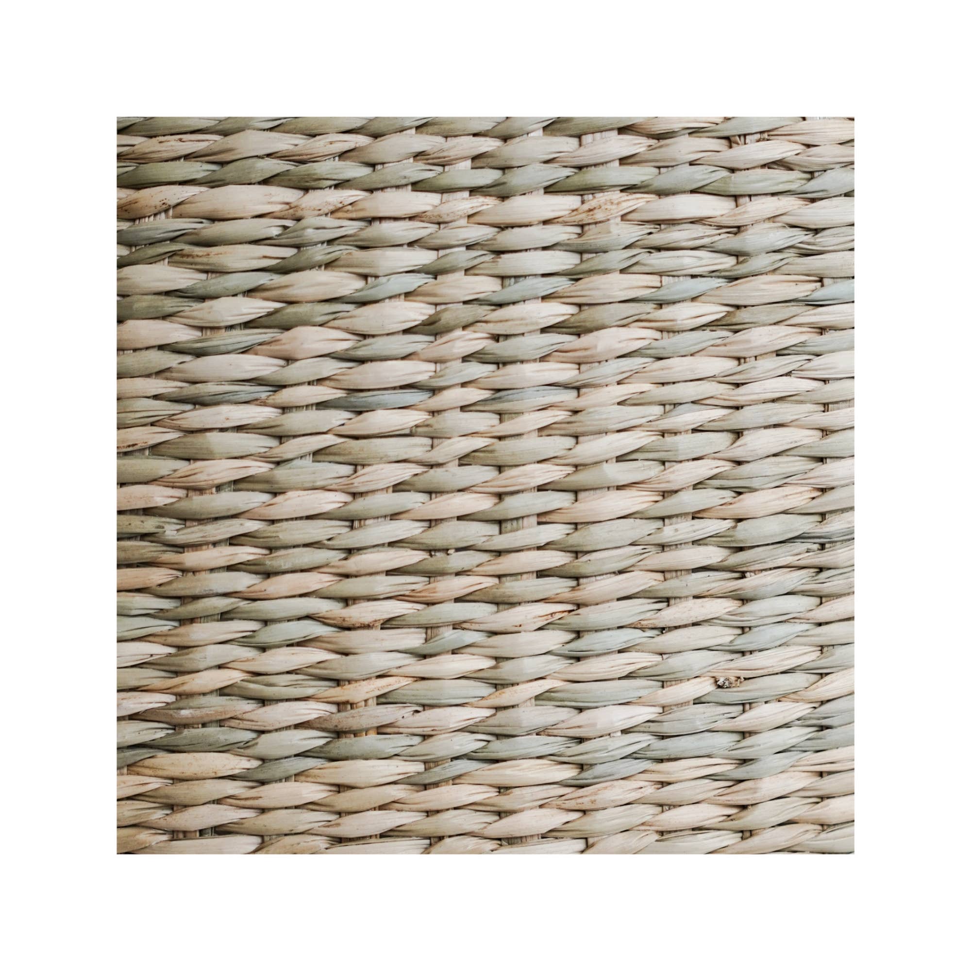 Pando Seagrass Lined Indoor Basket Planter Set of 2
