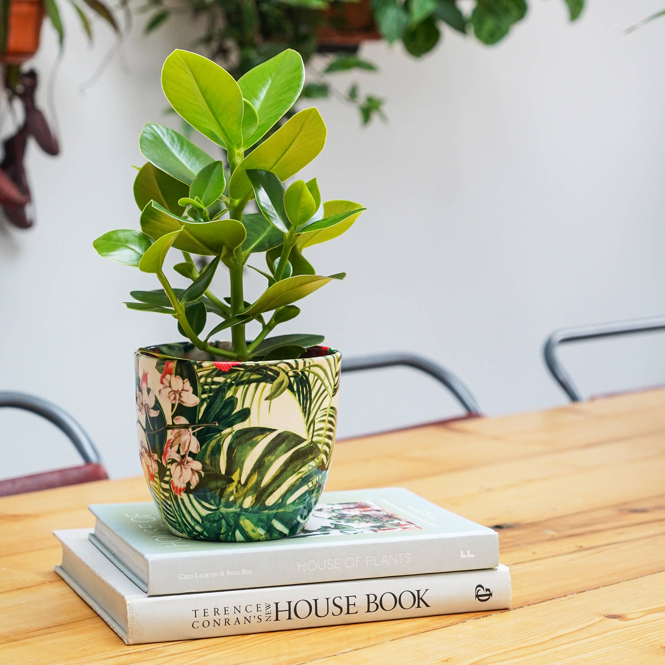 Monza Indoor Ceramic Plant Pot H13cm x D13cm