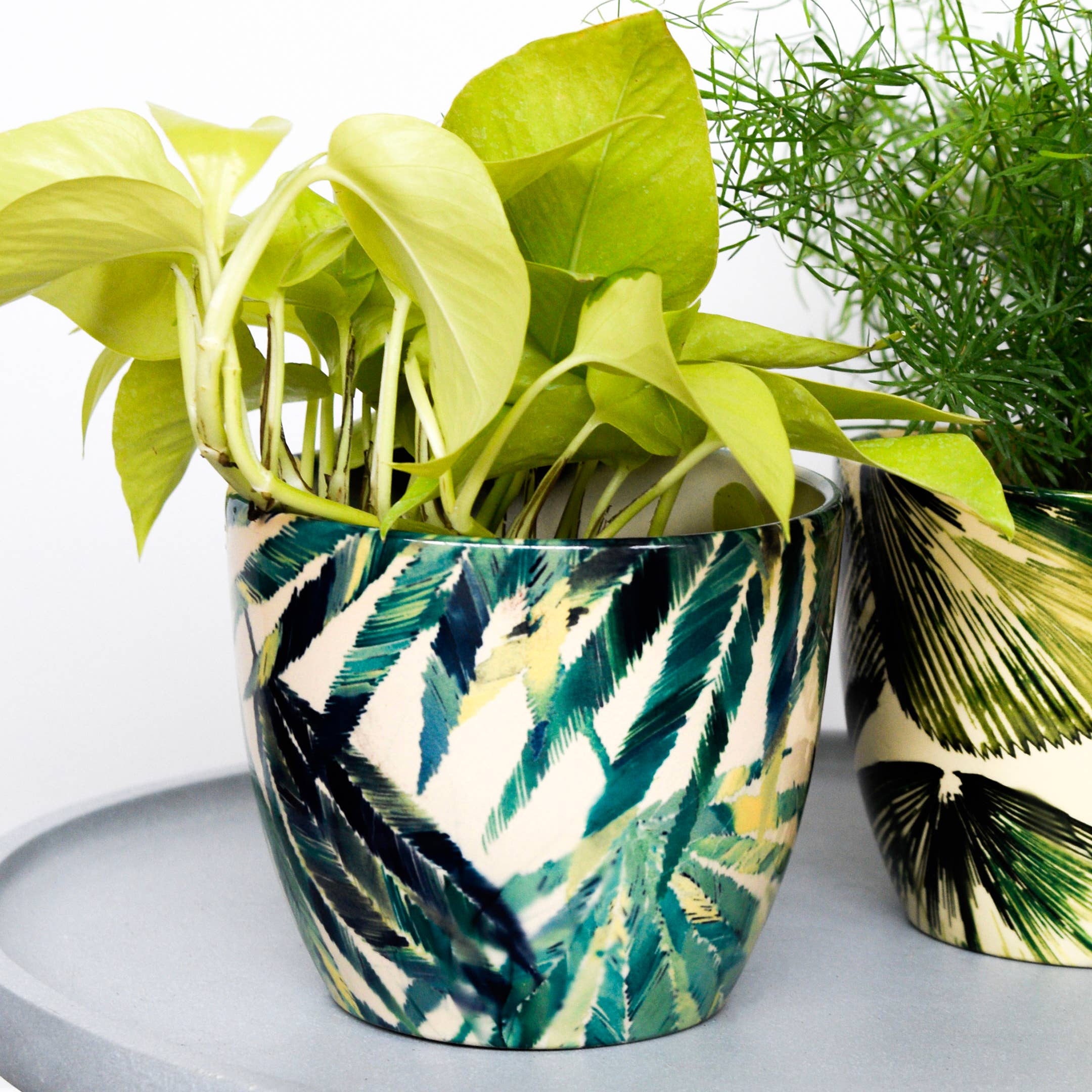 Monza Indoor Ceramic Plant Pot H13cm x D13cm