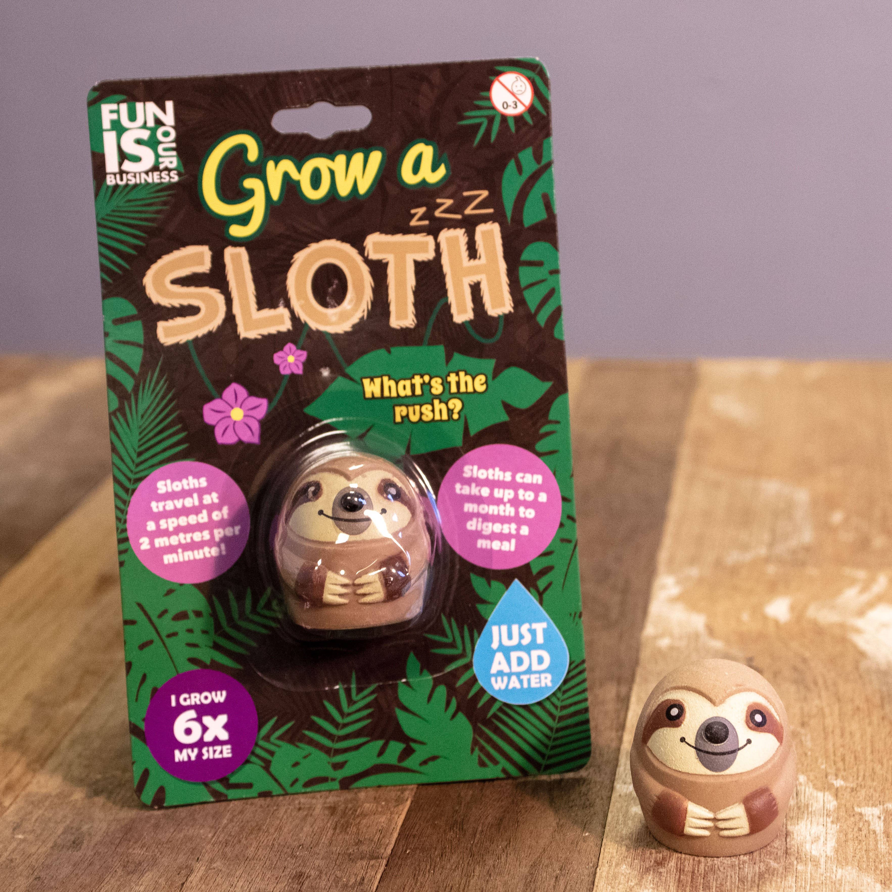 Grow A Sloth Toy - Novelty Gift