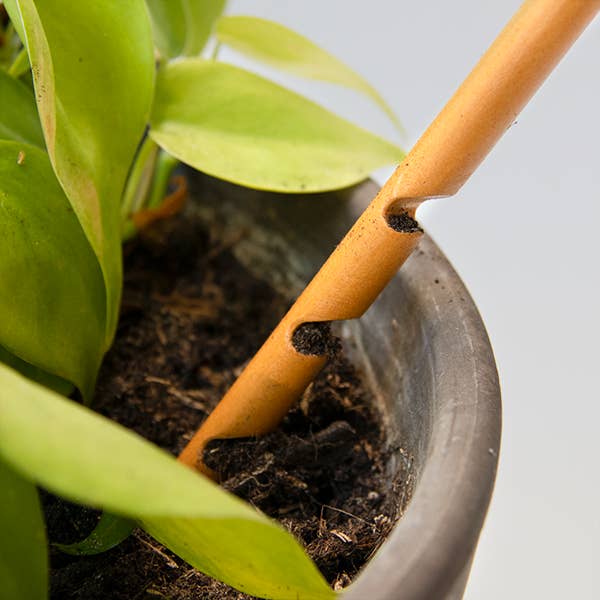 The Soil Checker