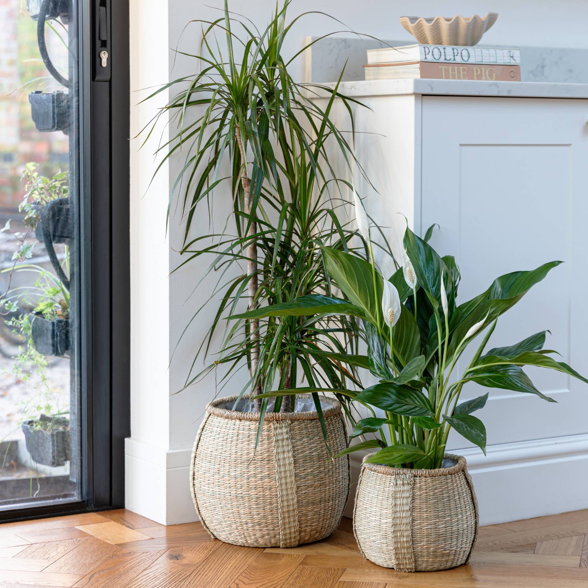 Pando Seagrass Lined Indoor Basket Planter Set of 2