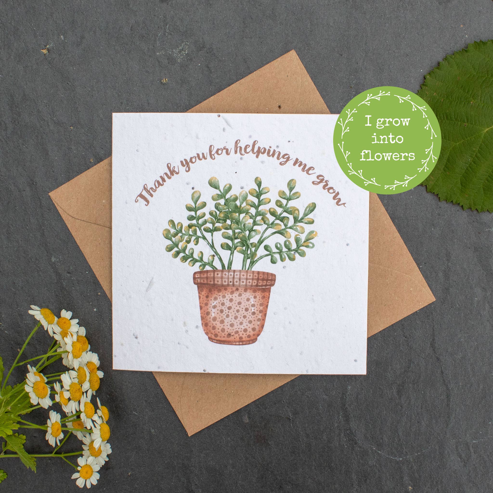 Plantable Card - Thank You For Helping Me Grow