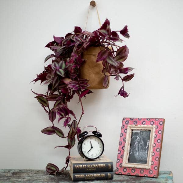 Brown Eco Washable Hanging Planter