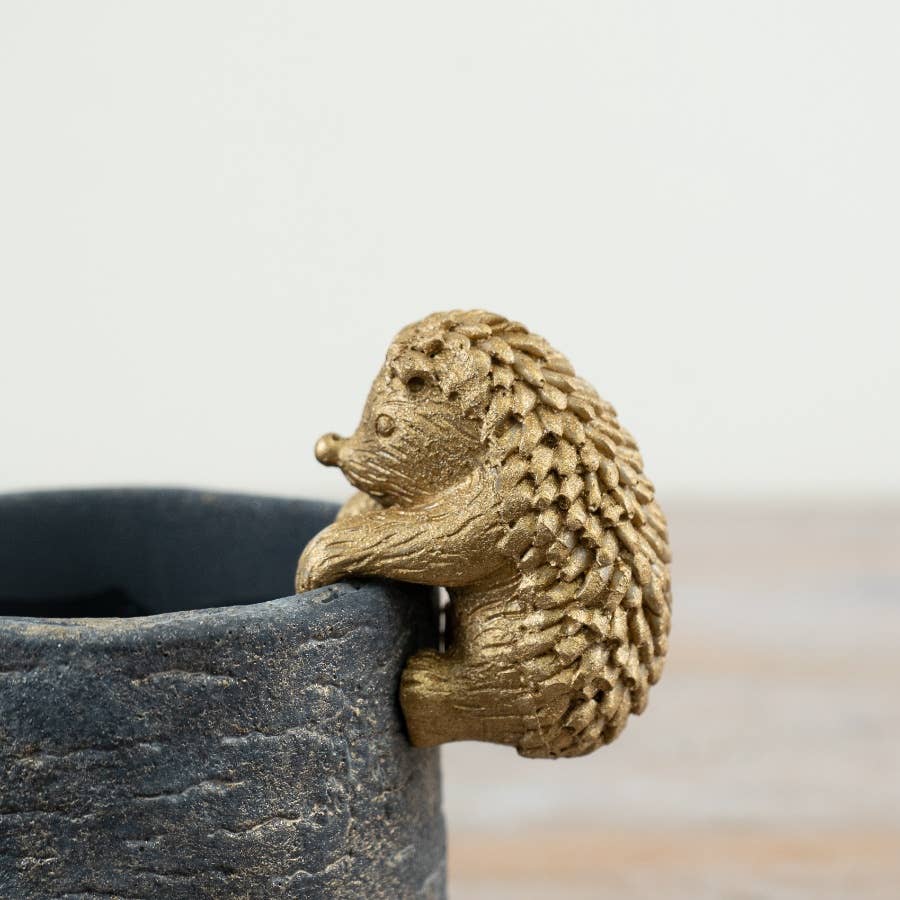 Planter with Hedgehog Pot Hanger, 11cm
