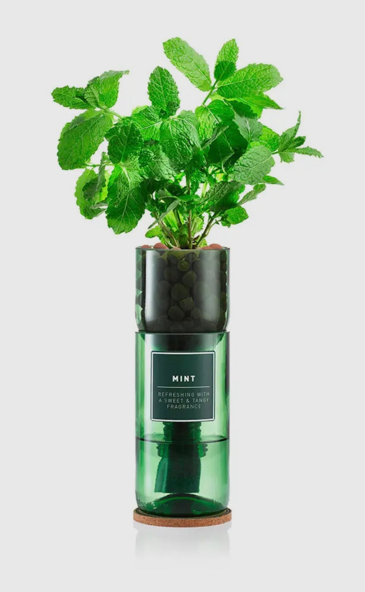 Hydro Herb Grow Kit - Eco-Friendly / Biodegradable