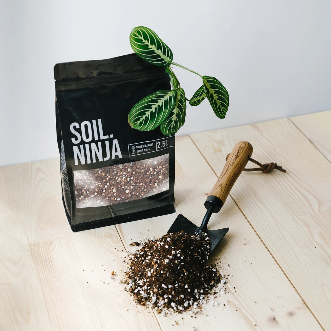calathea potting soil mix Soil Ninja Calathea and Maranta Blend Potting Mix – BotanicYork