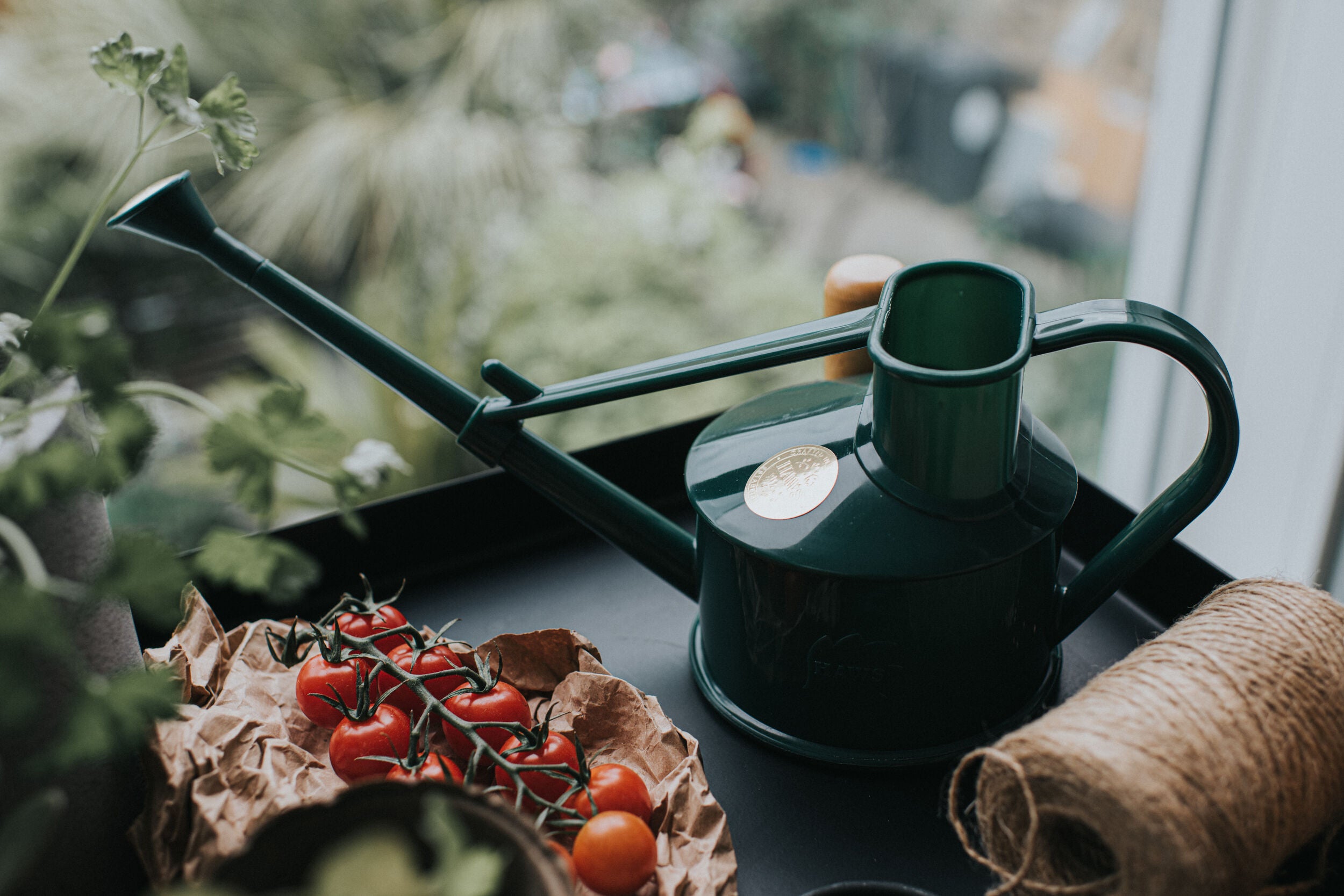 The Langley Sprinkler Green - One Pint Watering Can Haws