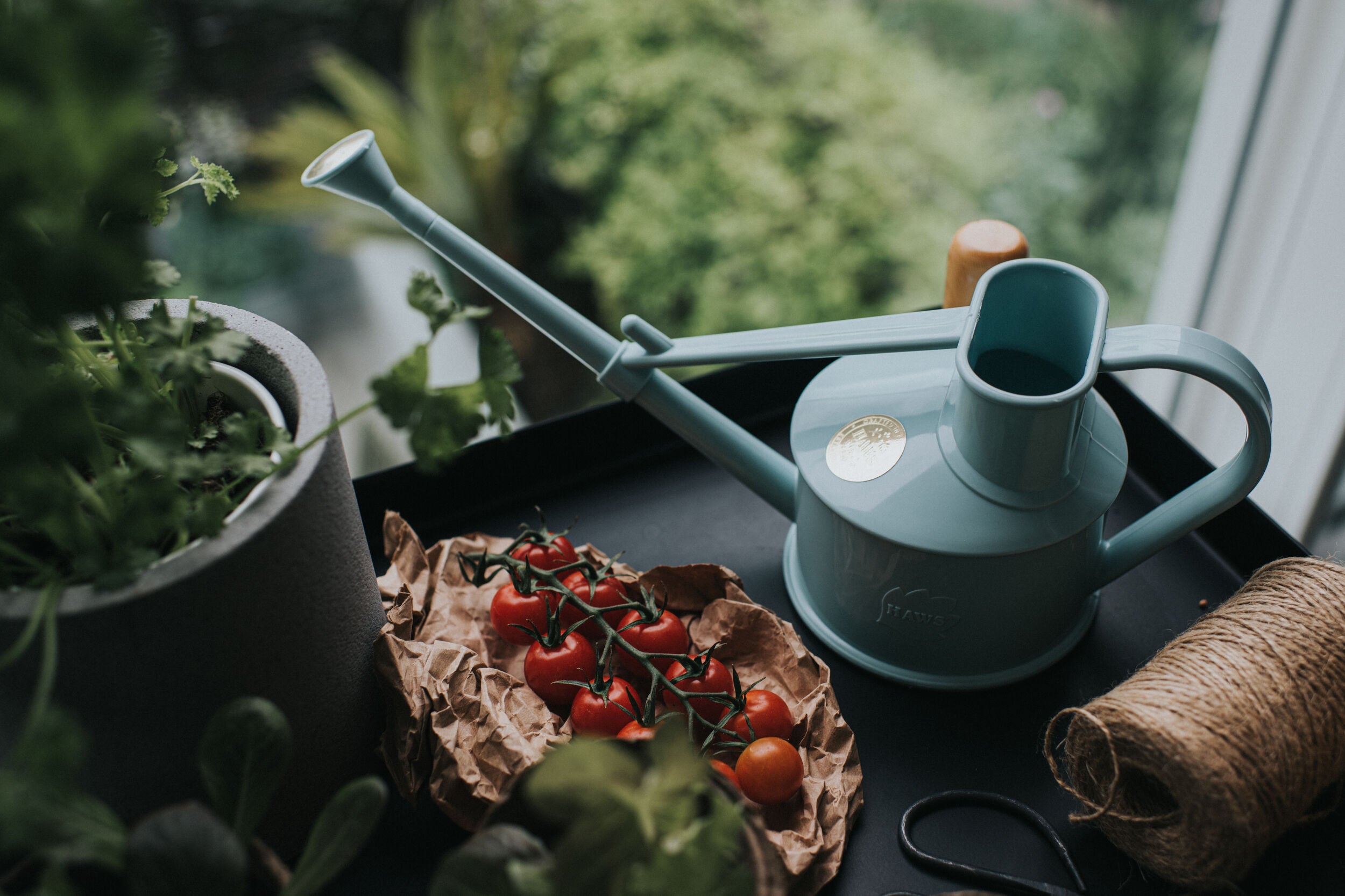 The Langley Sprinkler Duck Egg Blue - One Pint Watering Can Haws