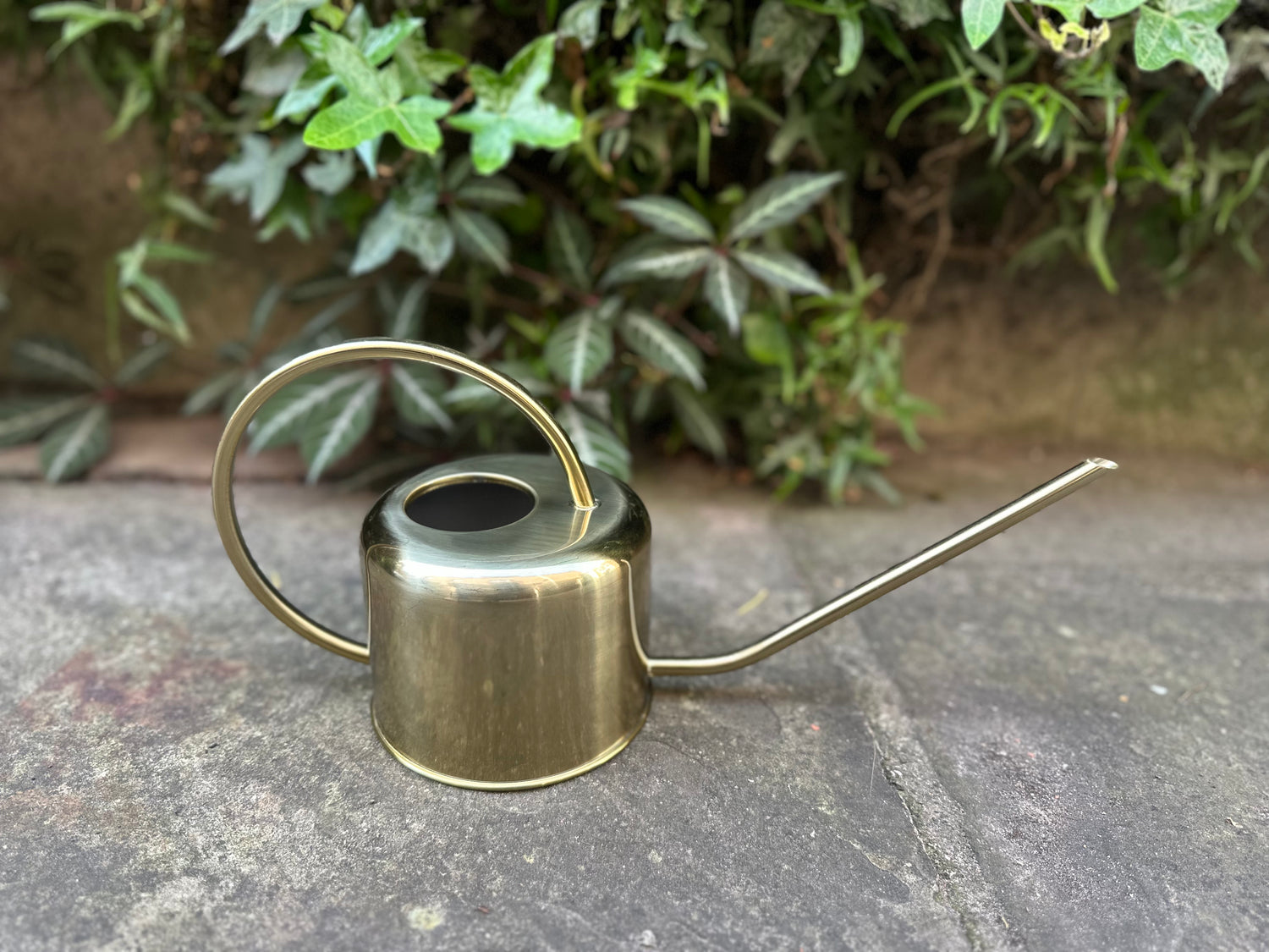 Brass Effect Watering Can