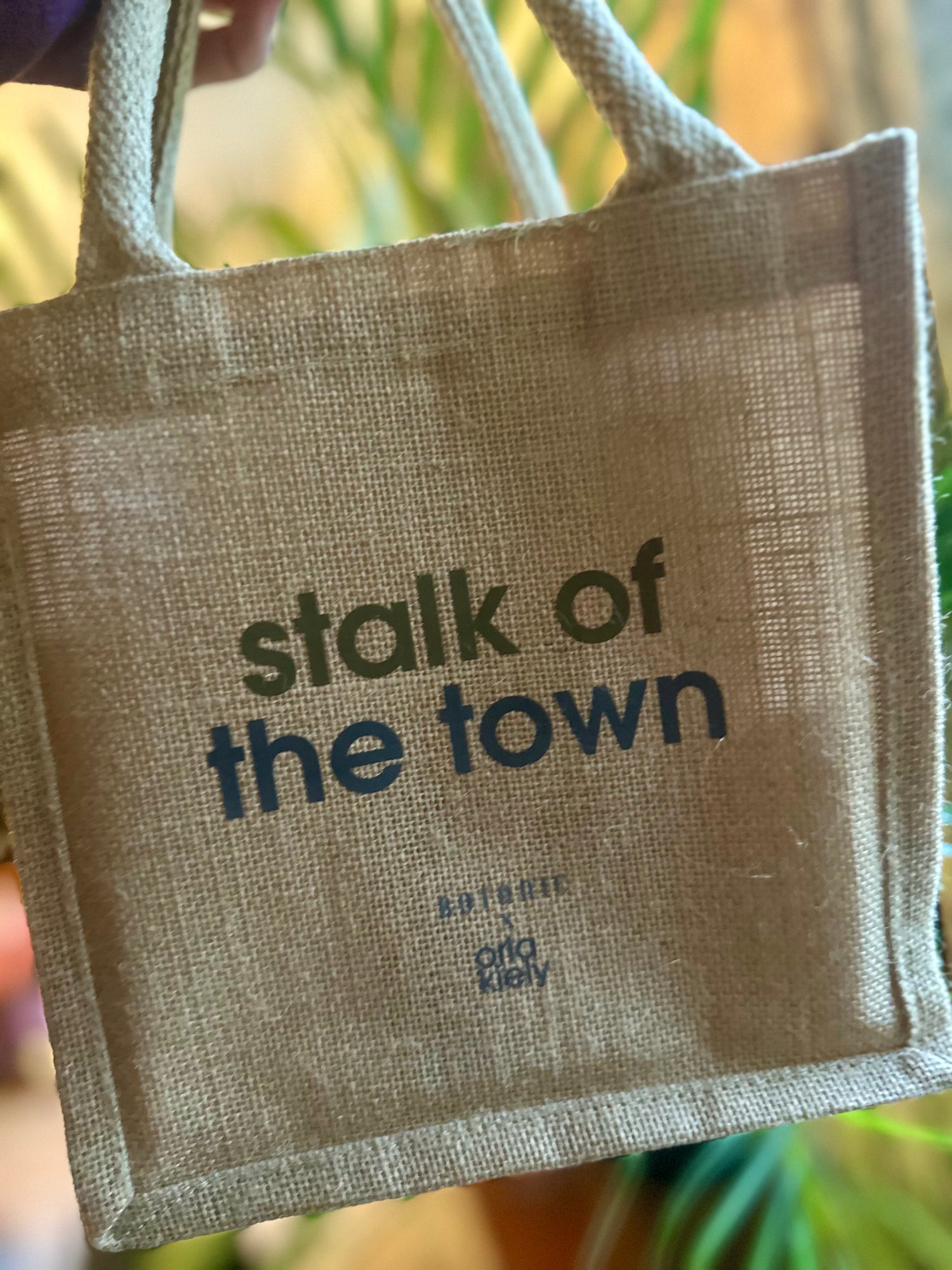 Tote Bag (small) - RHS Chelsea Flower Show 2025