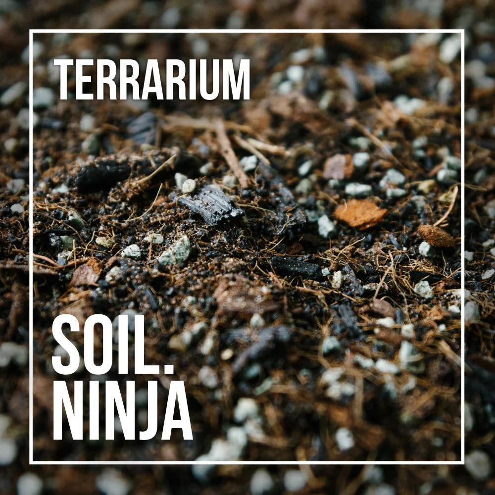 Terrarium Potting Mix Blend - Soil Ninja