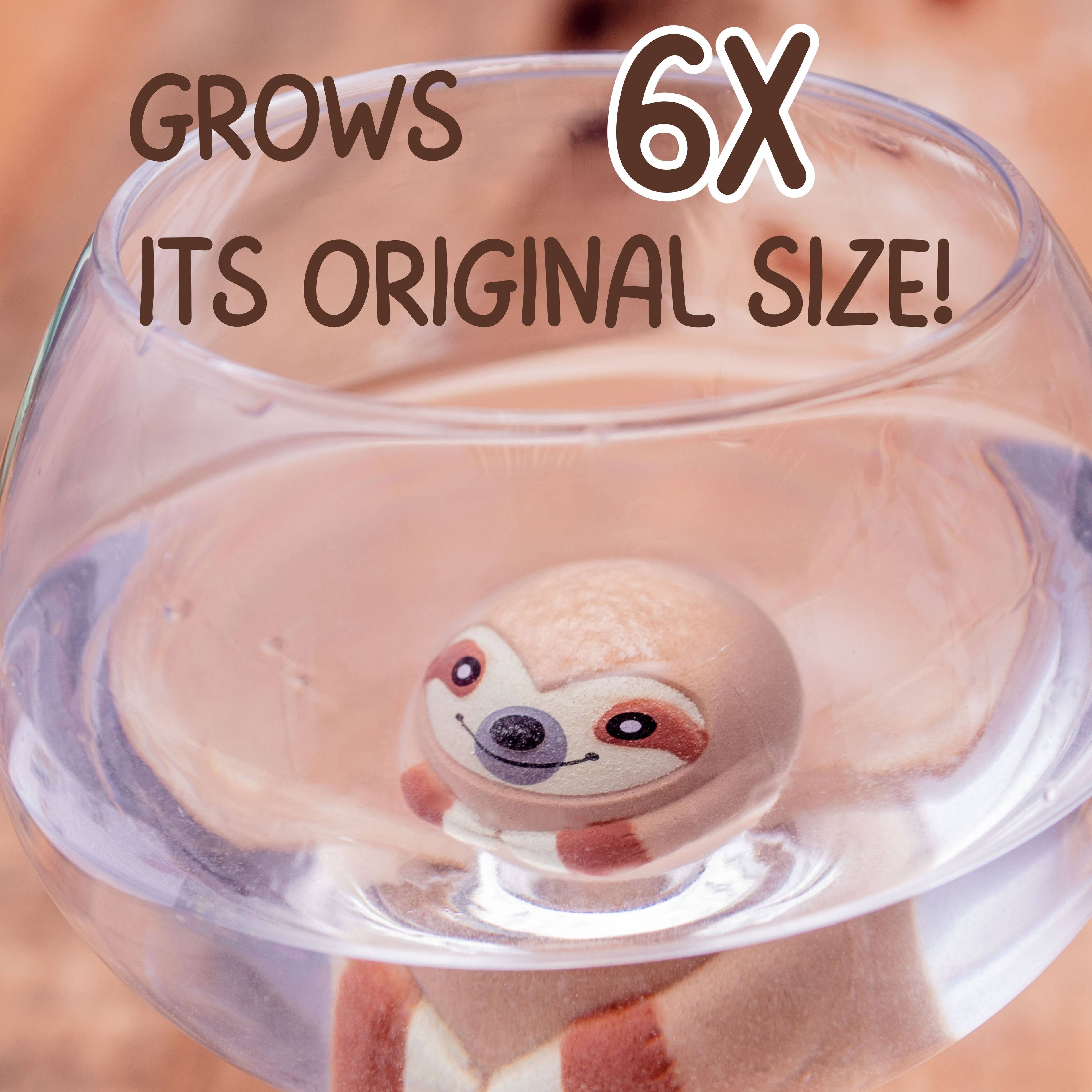 Grow A Sloth Toy - Novelty Gift