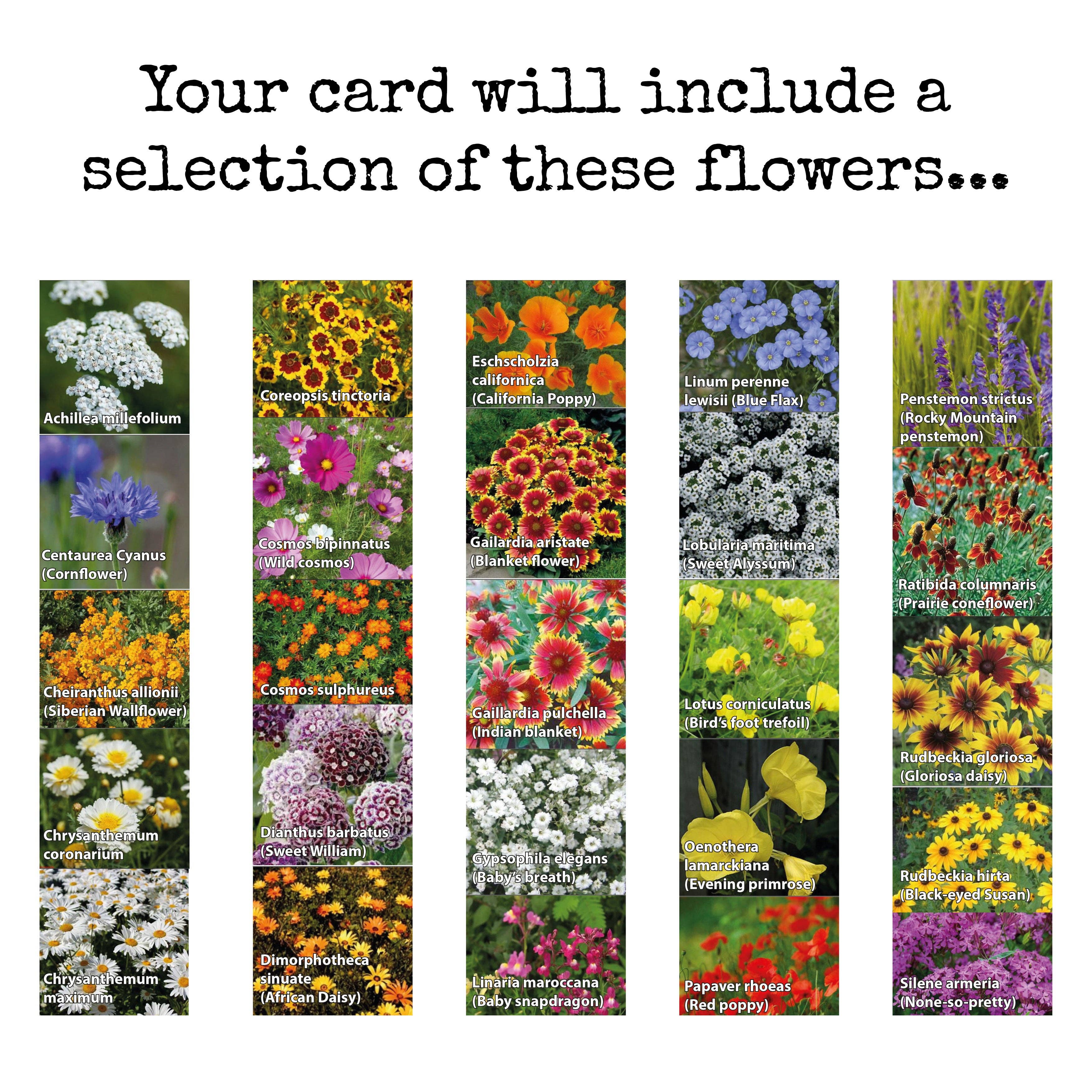 Plantable Card - Thank You For Helping Me Grow