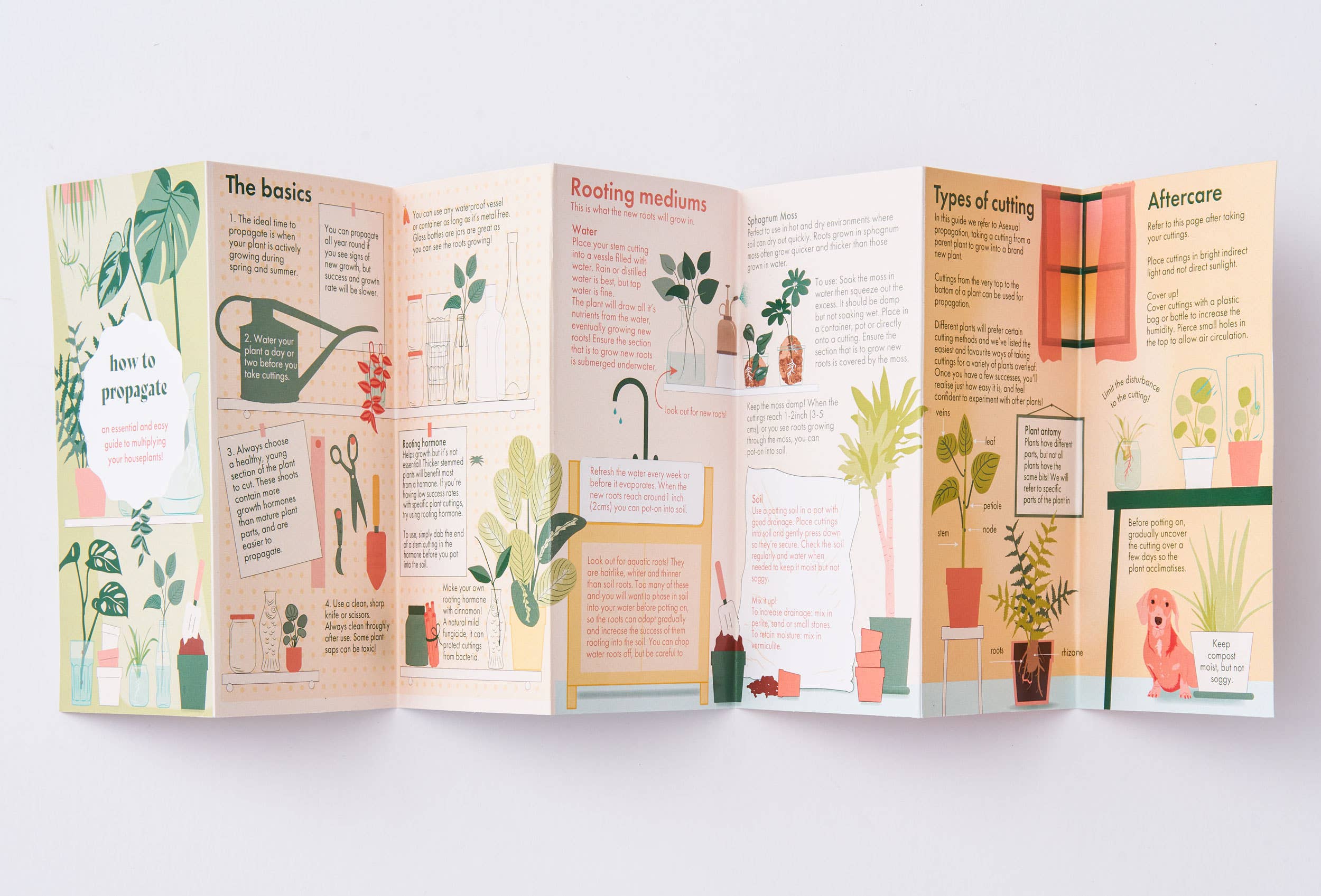 Propagation Plant Pocket guide for house plant lovers