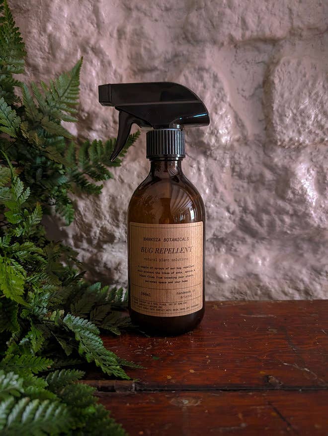 natural insect repellent for house plants Natural Bug Repellent for House Plants – BotanicYork
