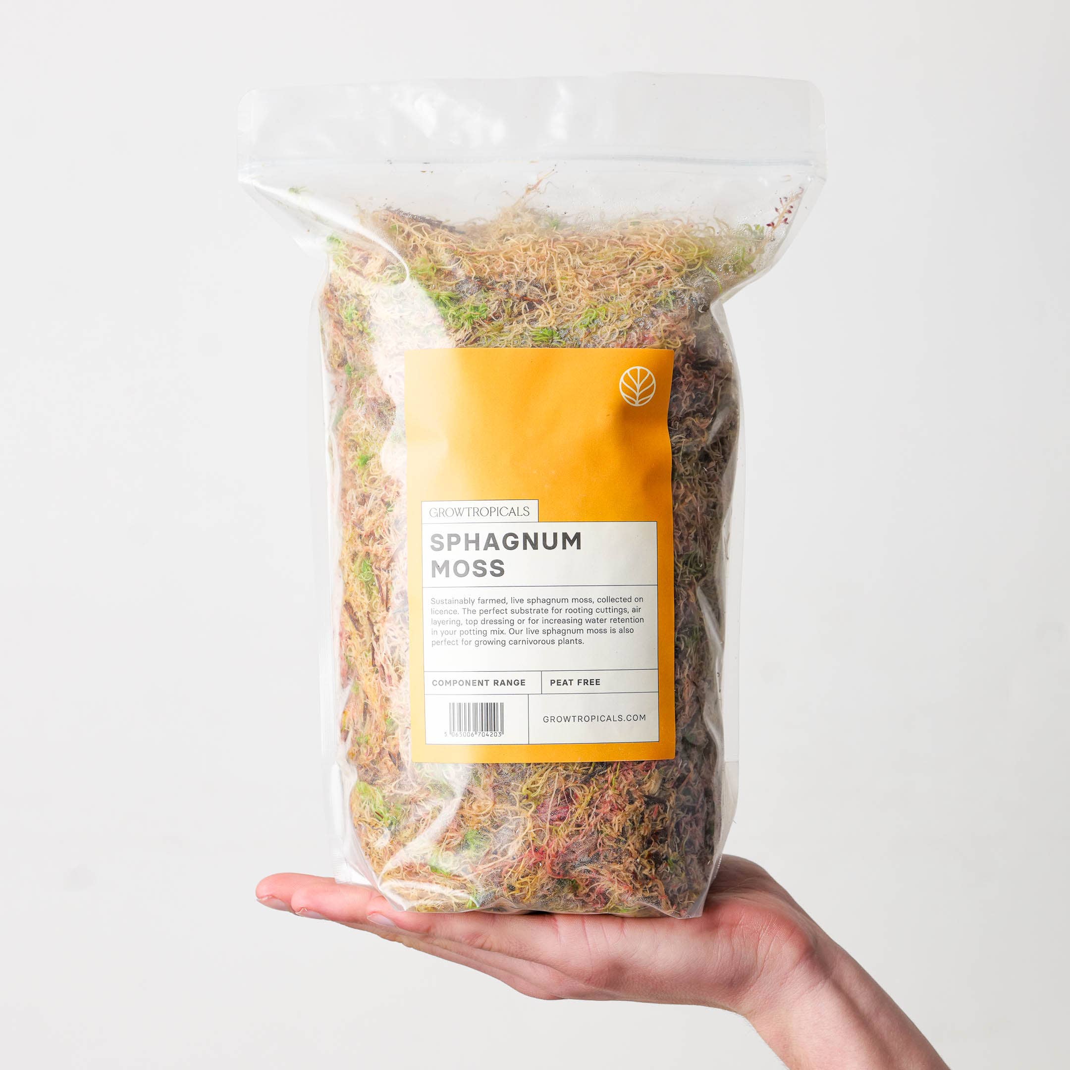 Sphagnum Moss (Live)