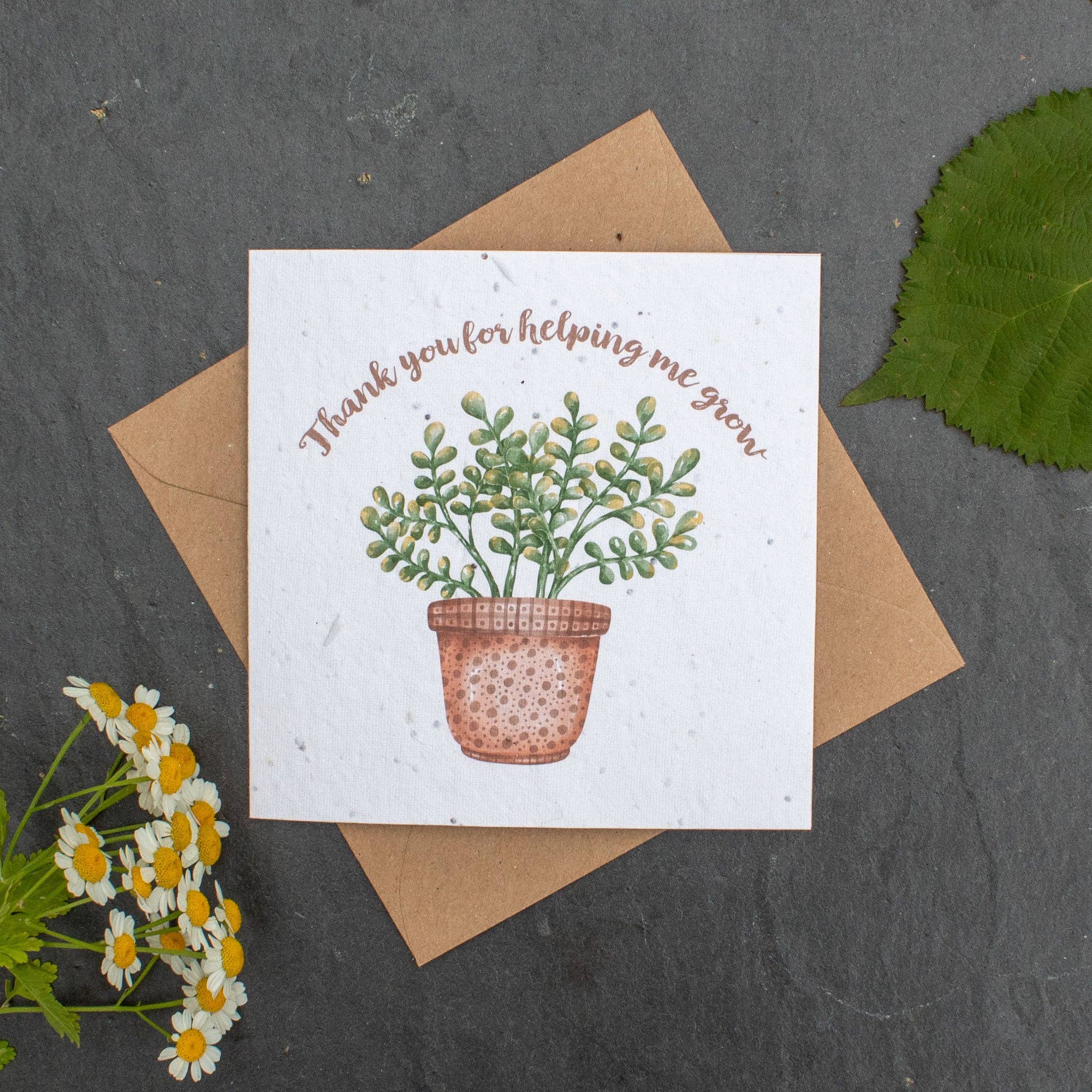 Plantable Card - Thank You For Helping Me Grow