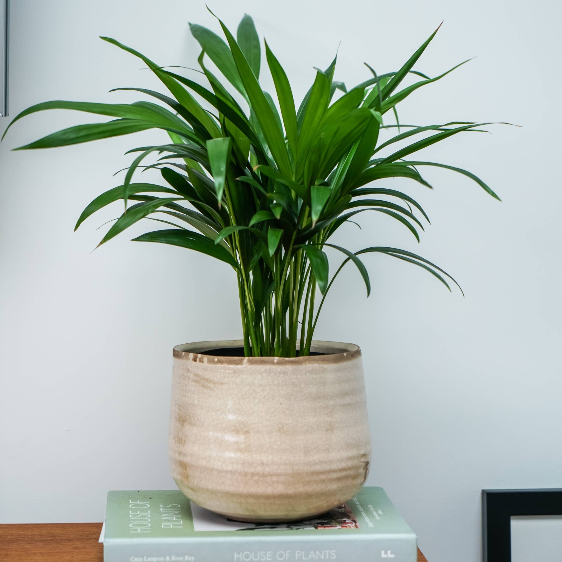 Como Hand Finished Indoor Ceramic Plant Pot D21cm & D26cm