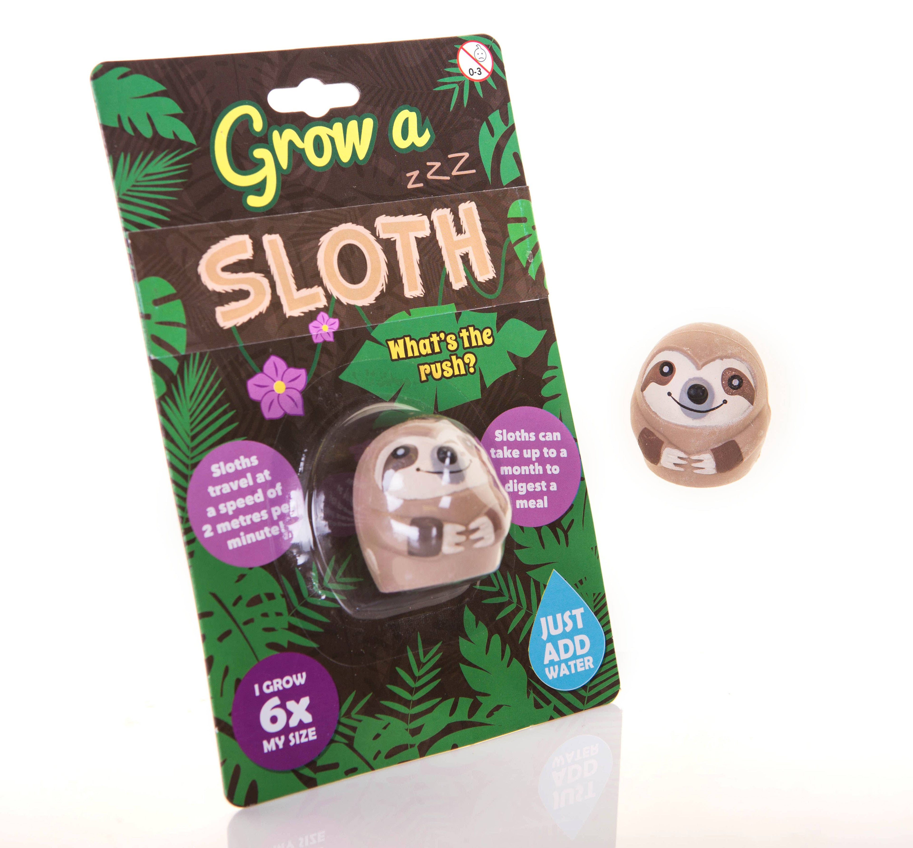 Grow A Sloth Toy - Novelty Gift