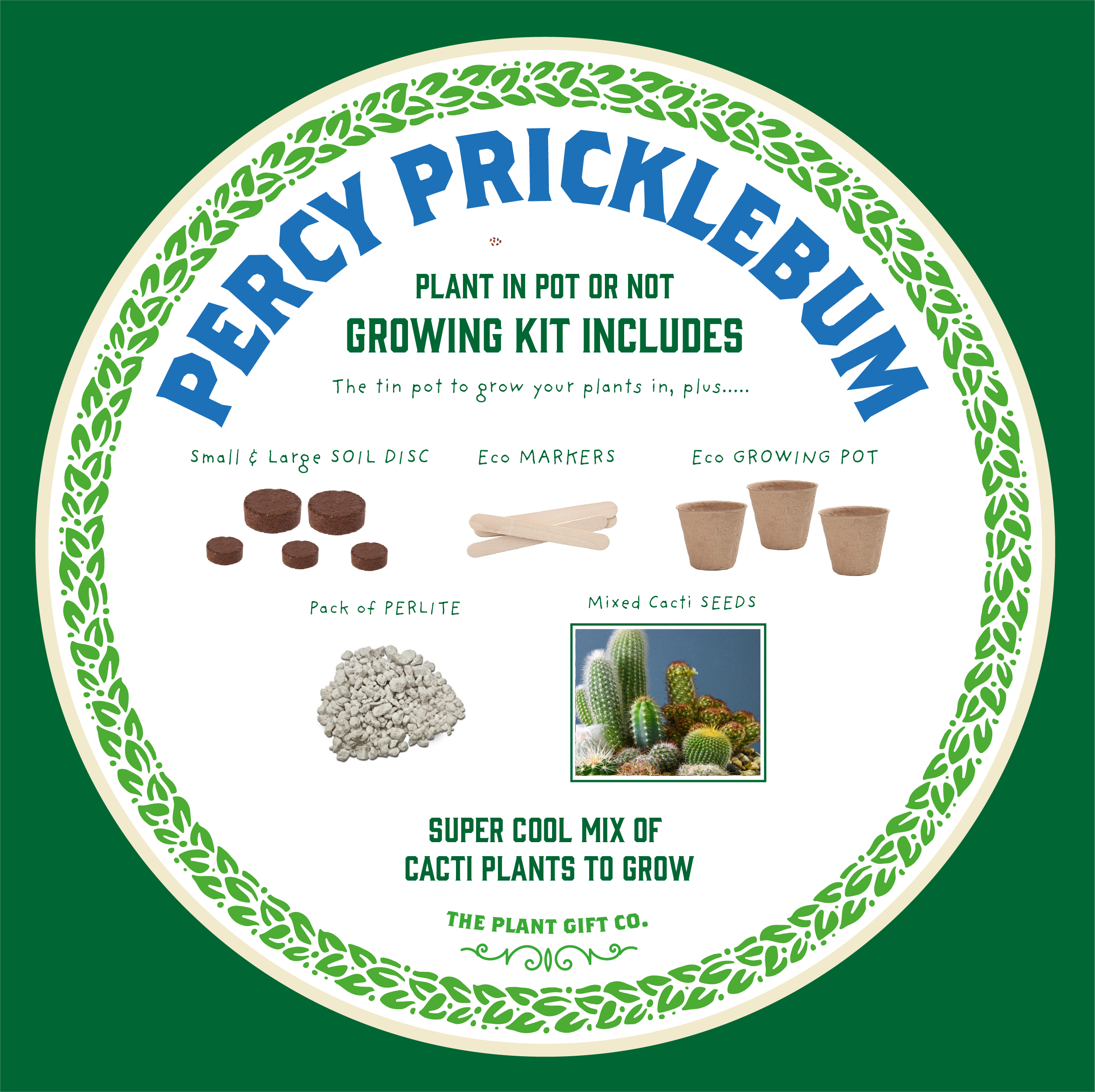 Percy Pricklebum. Grow Your Own Cacti Kit, Gardening Gift