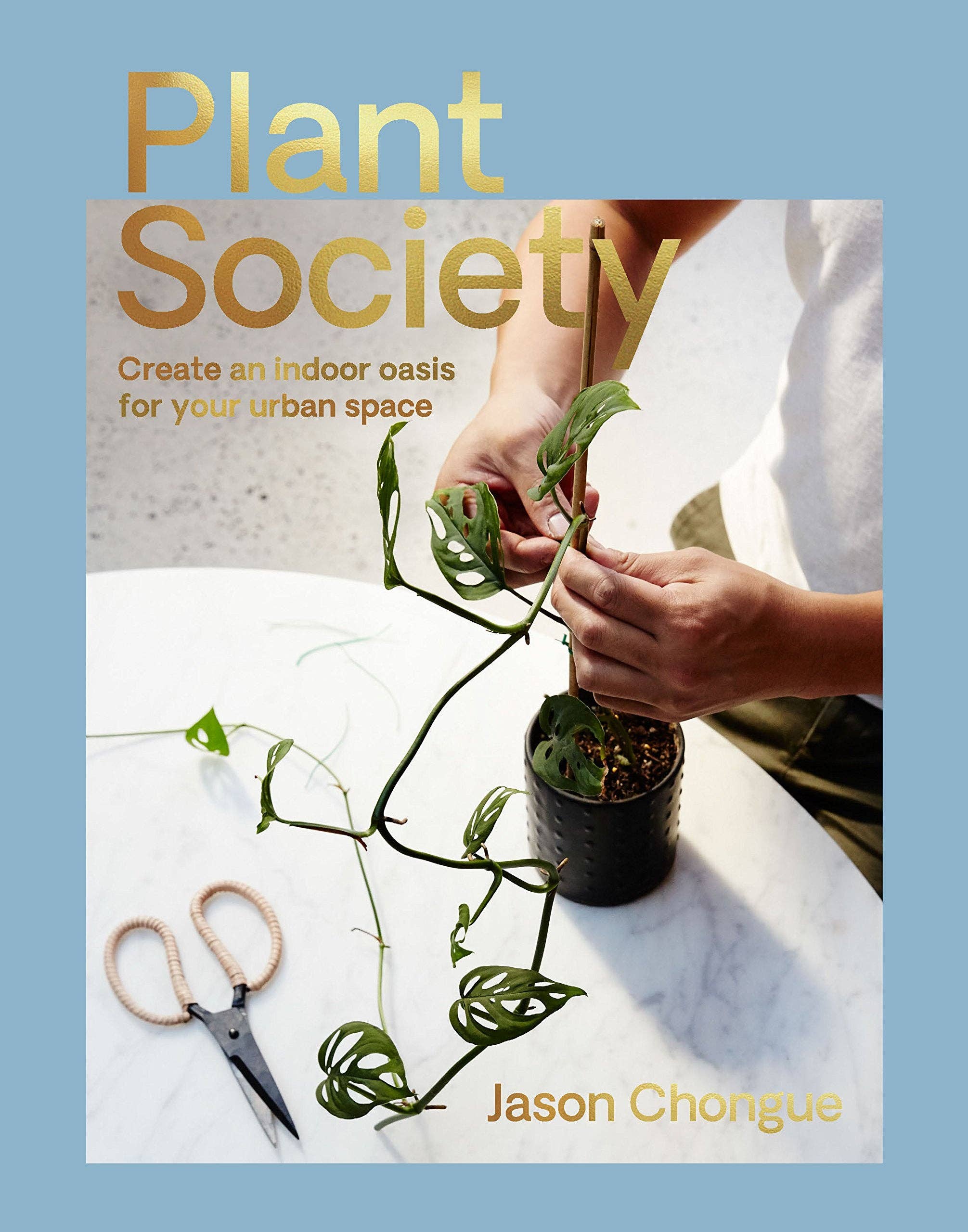 Plant Society: Create an Indoor Oasis for Urban Spaces