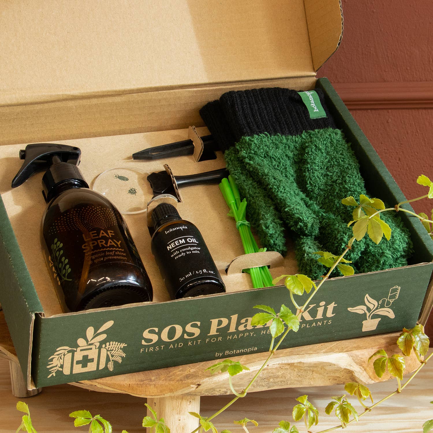 SOS Plant Kit - Saving Sick Plants, One Leaf at a Time