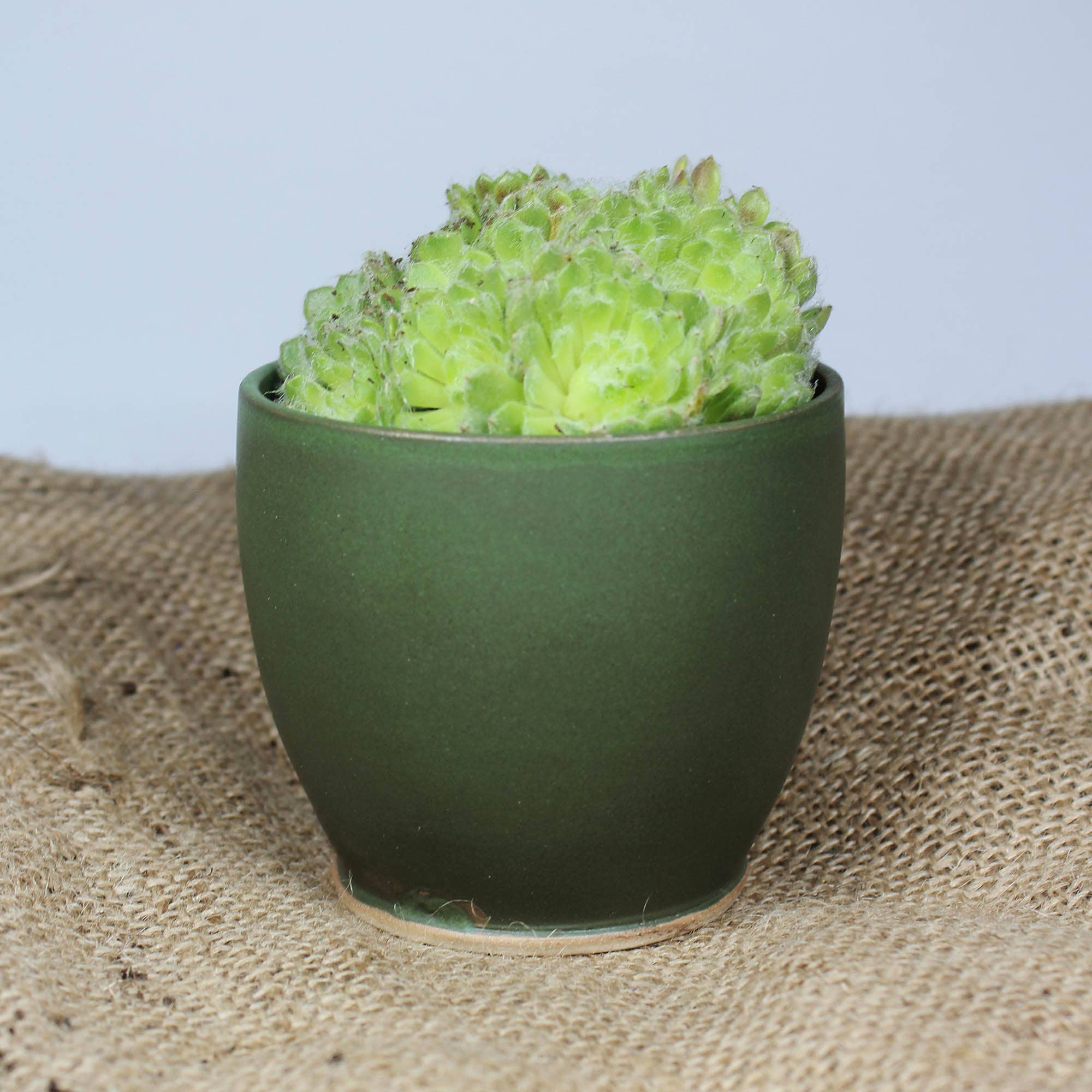 Mini Moss Green Handmade Ceramic Plant Pot