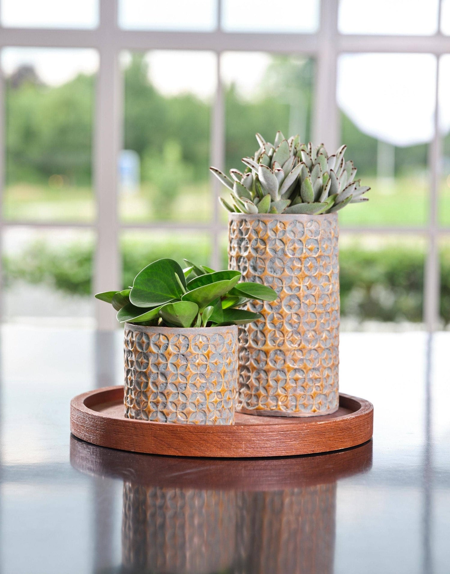 Terni Premium Glaze Ceramic Indoor Planter H18cm D20cm: Mustard