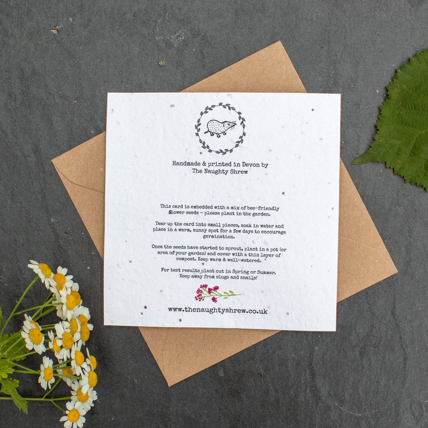 Plantable Card - Thank You For Helping Me Grow