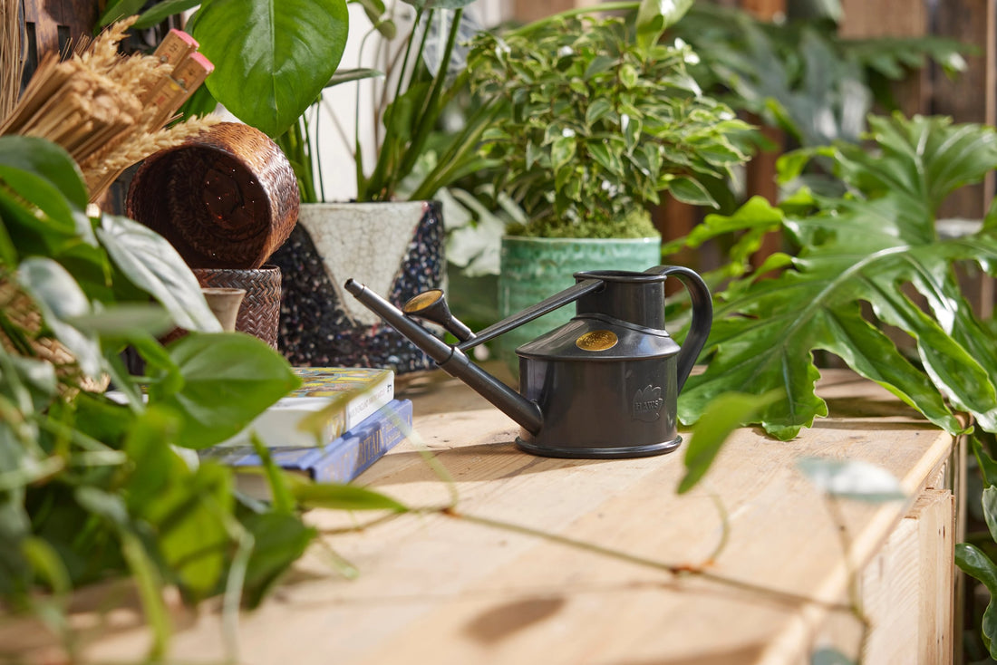 The Langley Sprinkler Recycled Black- One Pint Watering Can Haws