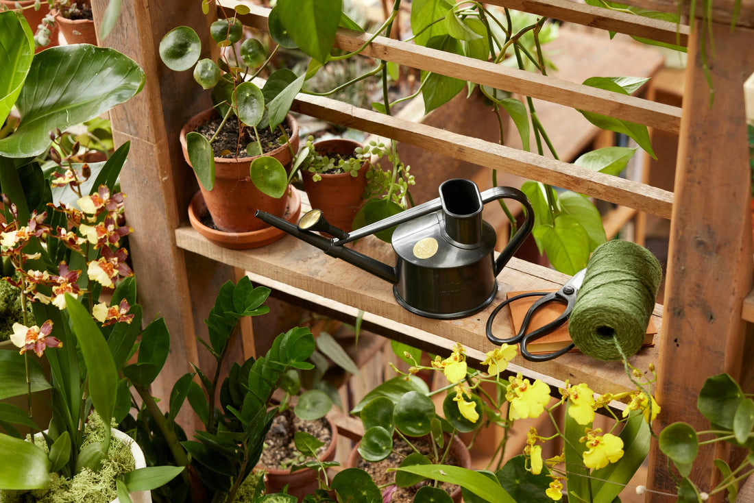 The Langley Sprinkler Recycled Black- One Pint Watering Can Haws