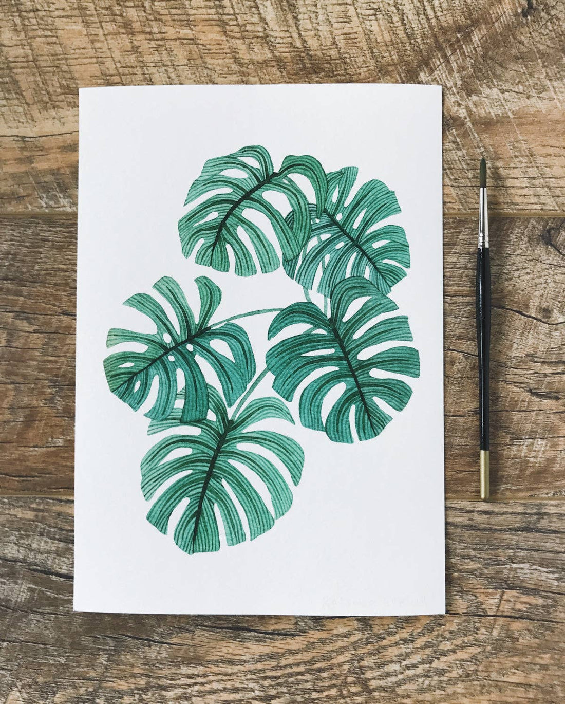 Swiss Cheese Plant A4 Print