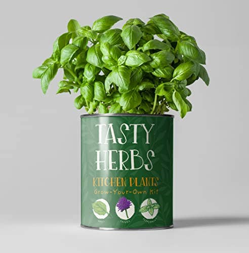 Tasty Herbs. Eco Grow Your Own Herbs, Gardening Kit.