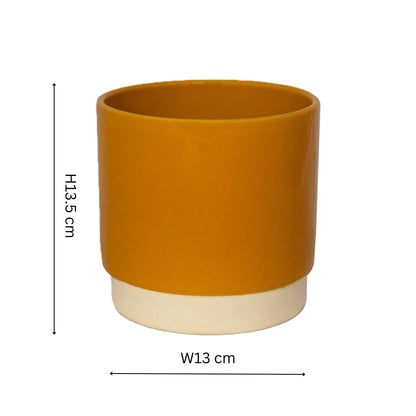 Enos Ceramic Indoor Plant Pot H13.5cm D13cm
