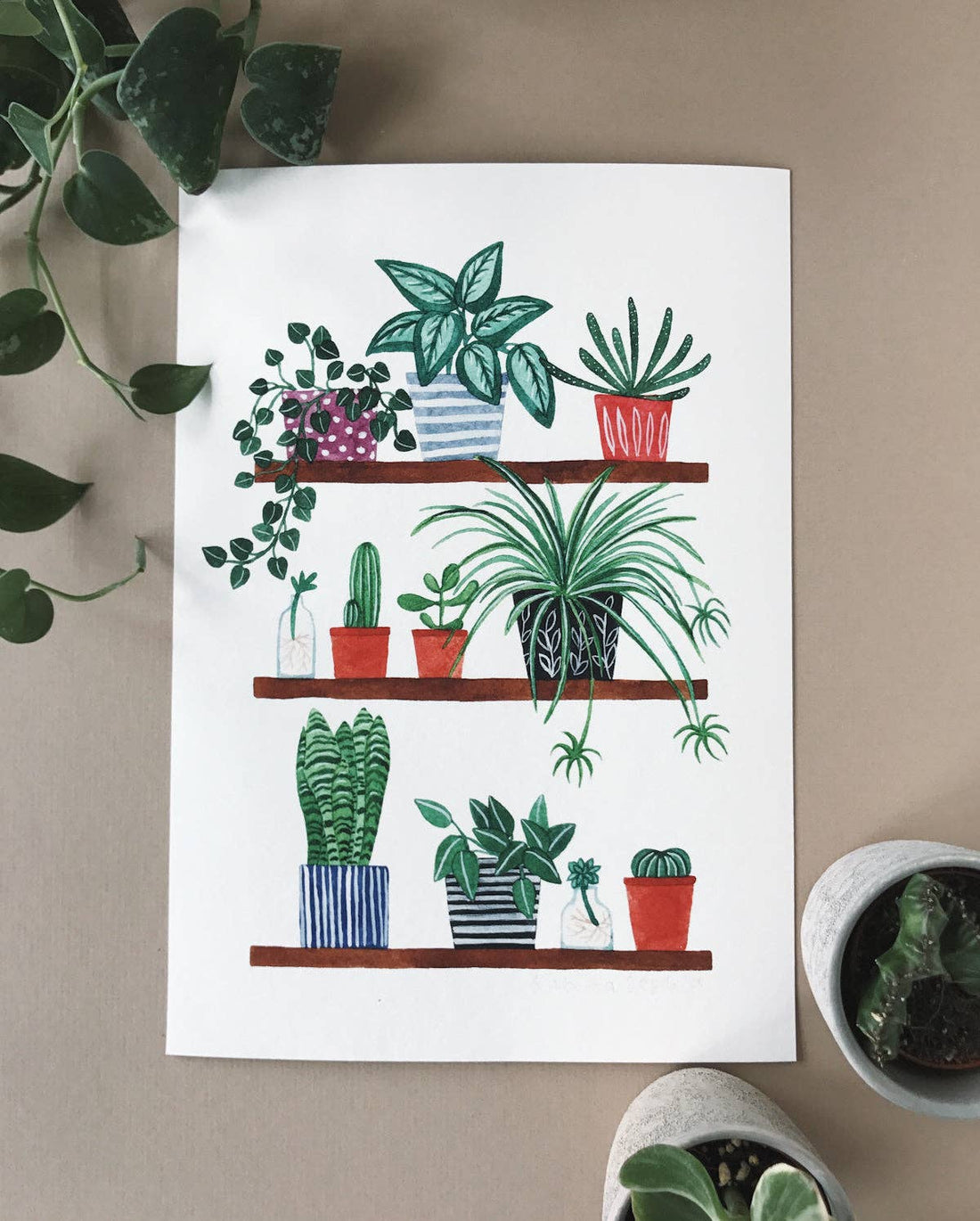 Houseplants A4 Print