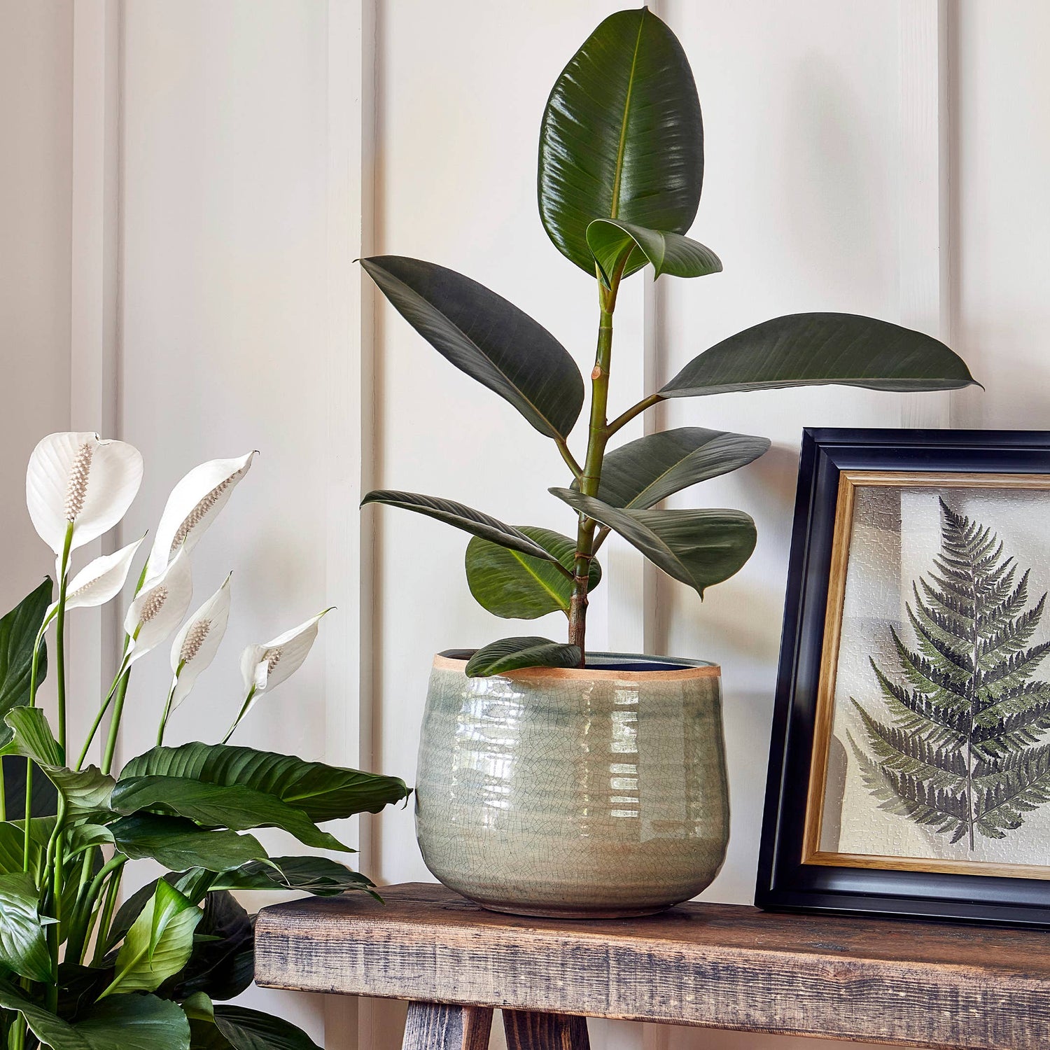 Como Hand Finished Indoor Ceramic Plant Pot H15cm x D18cm