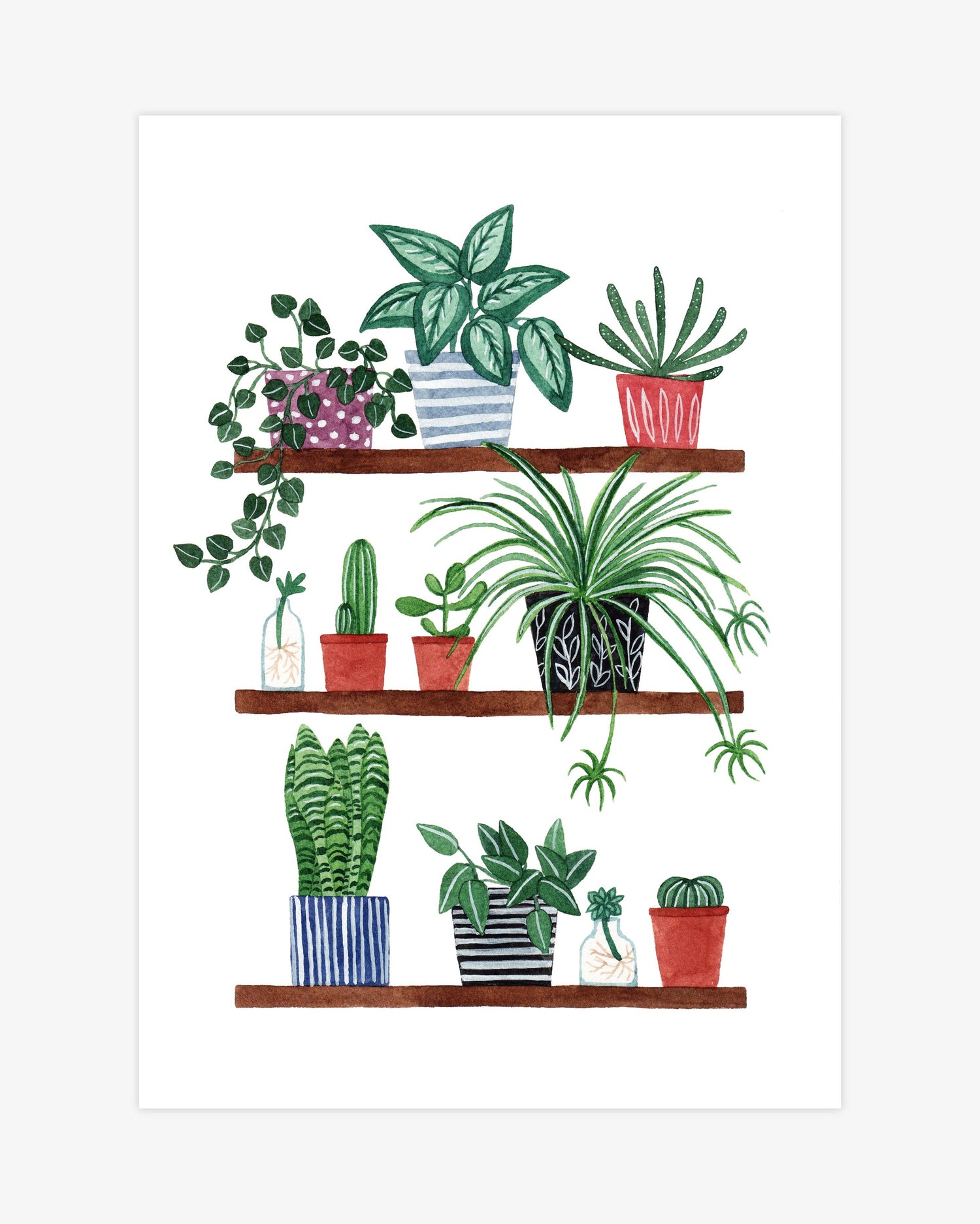 Houseplants A4 Print