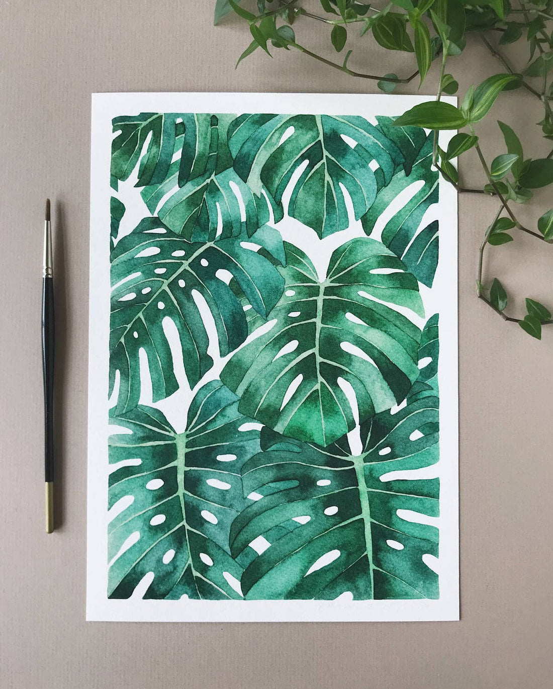 Monstera Deliciosa A4 Print