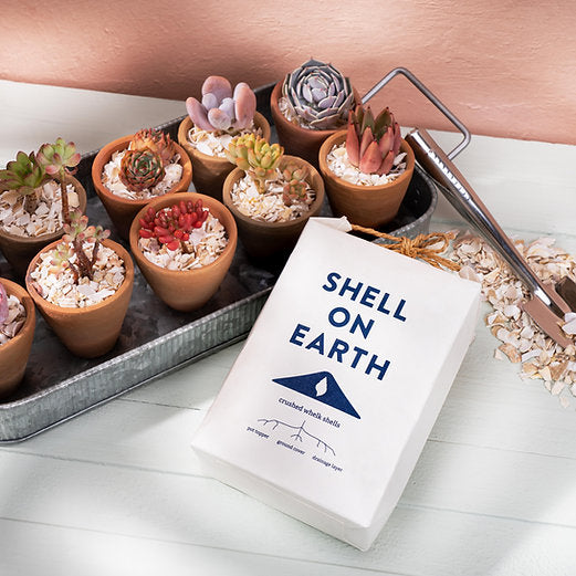 Shell on Earth - Crushed Whelk Shells
